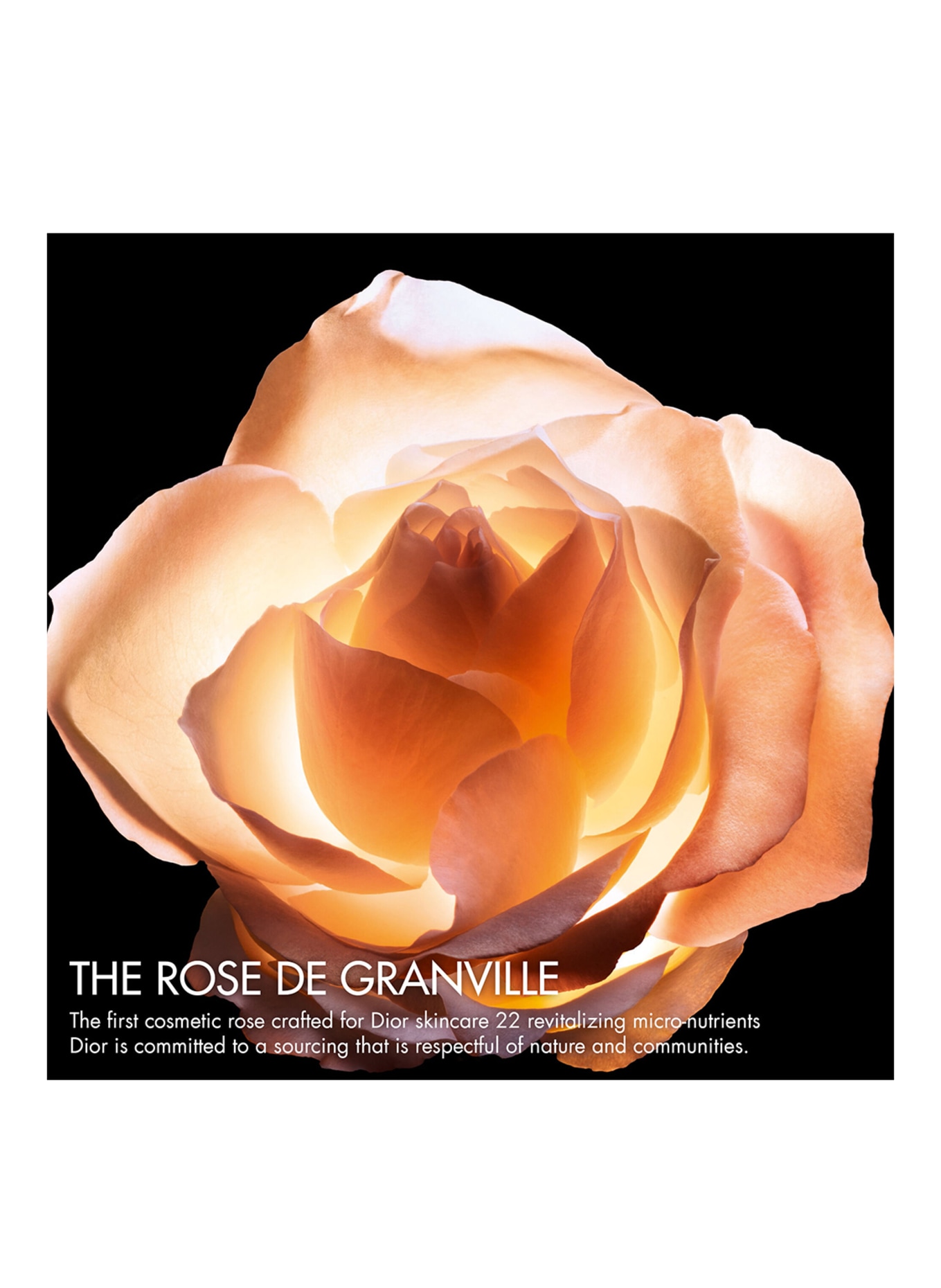 DIOR DIOR PRESTIGE LE CONCENTRE YEUX