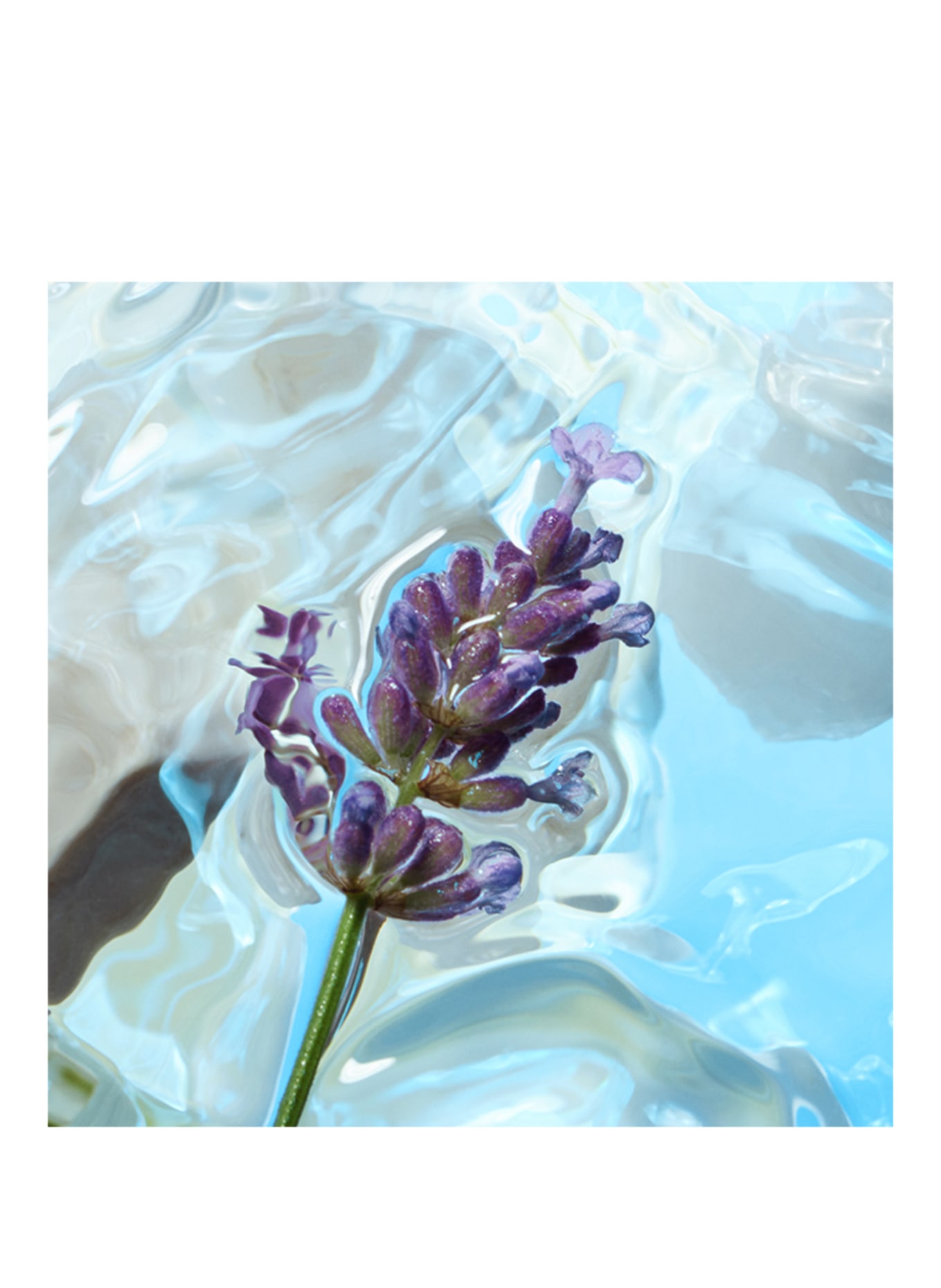 Charlotte Tilbury CALM BLISS