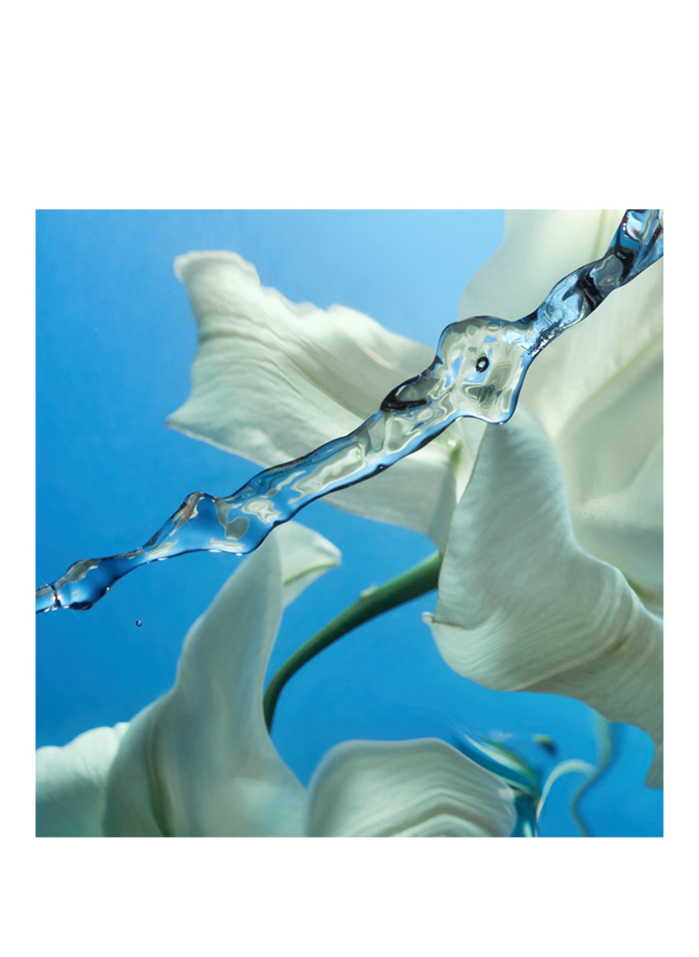 Charlotte Tilbury CALM BLISS