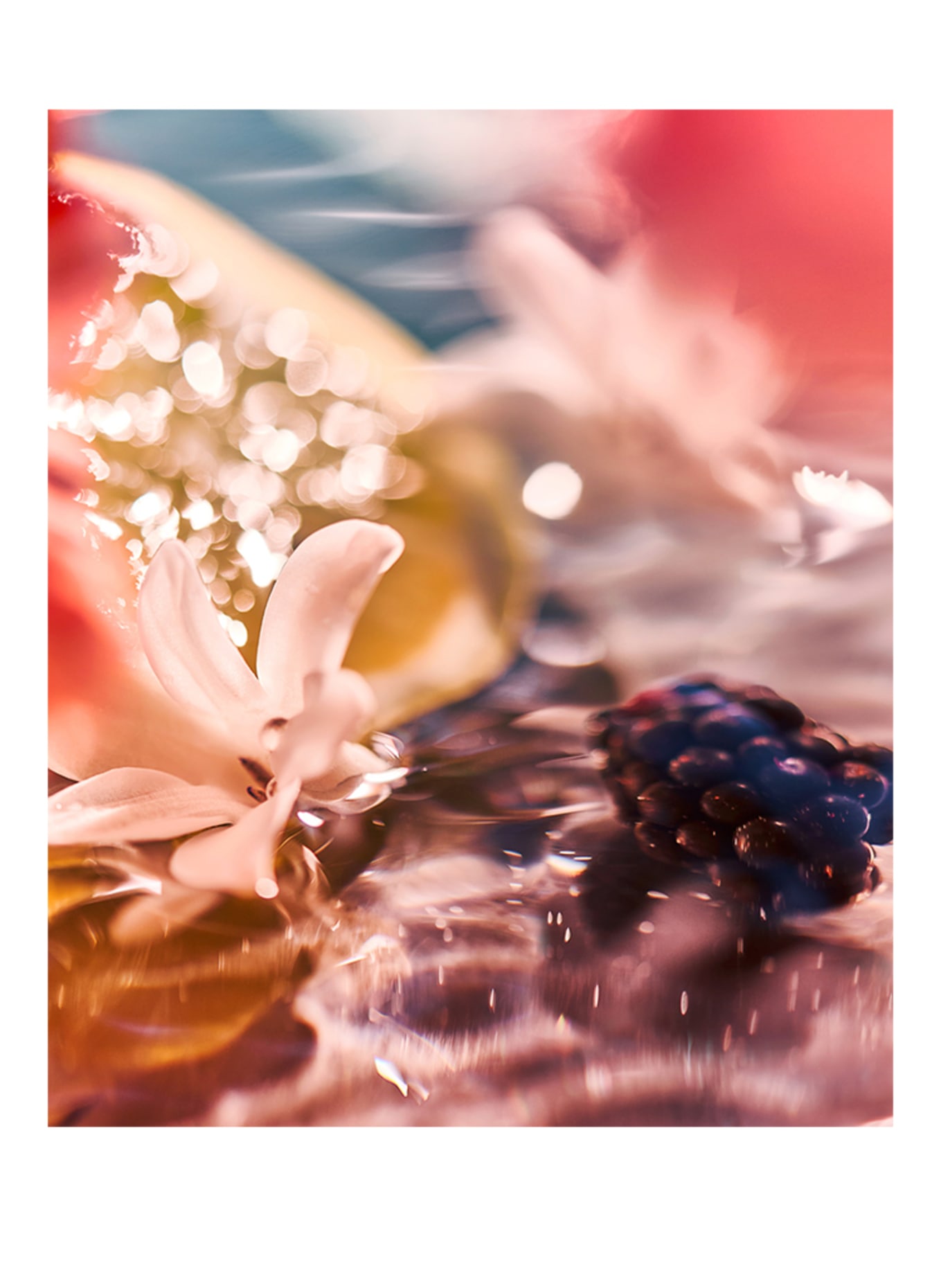 ROJA London ELYSIUM POUR FEMME