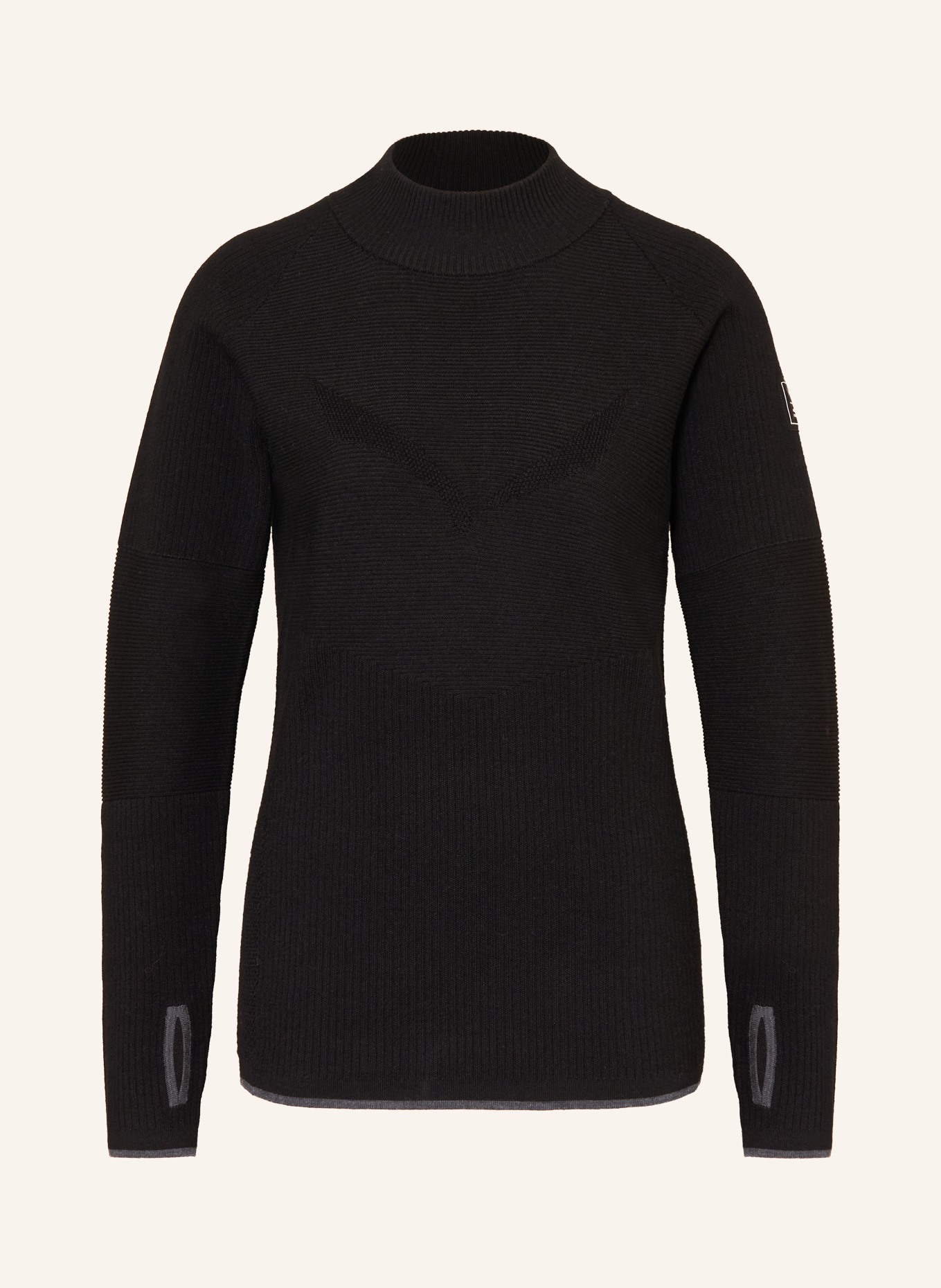 SALEWA Sweater FANES