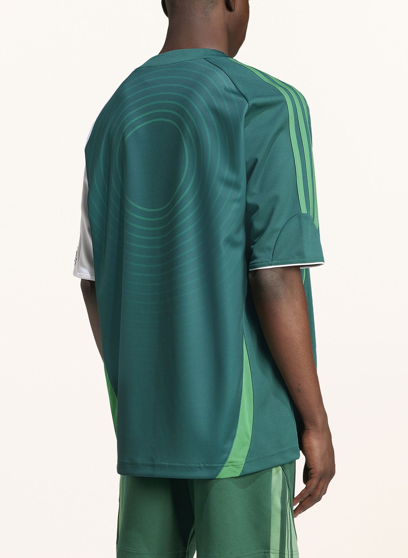 Adidas originals t shirt in white and green stripe store