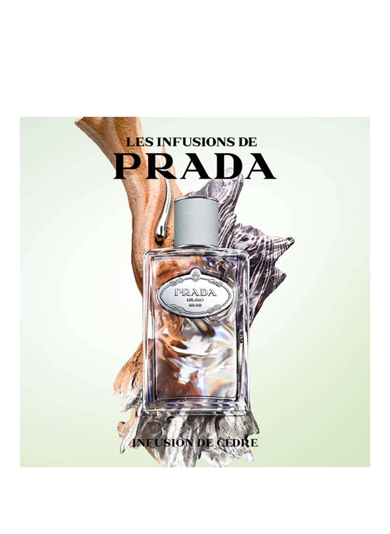 PRADA Parfums INFUSION CÈDRE
