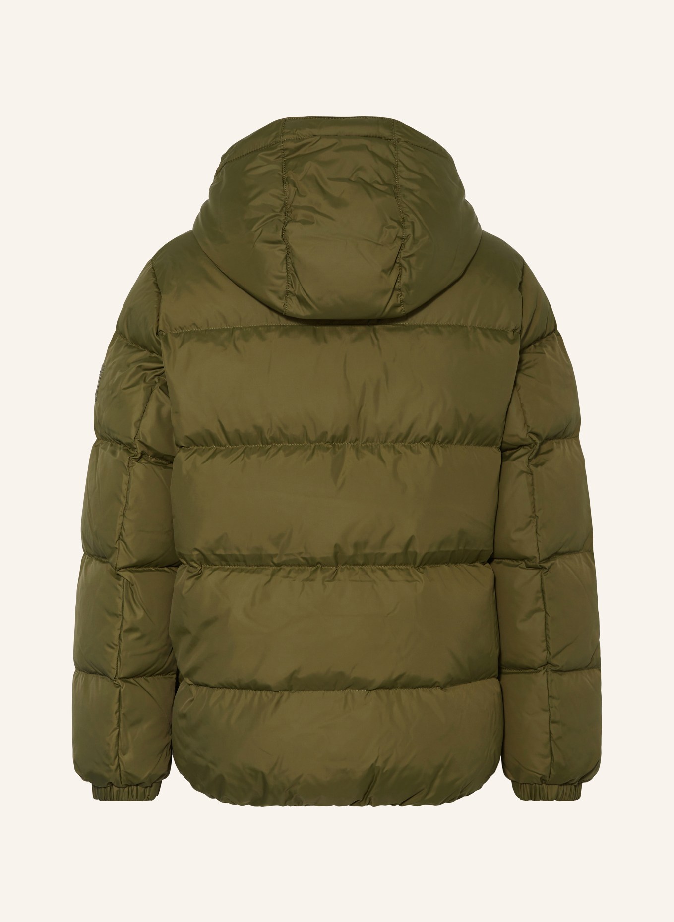 TOMMY HILFIGER Daunenjacke: OLIV