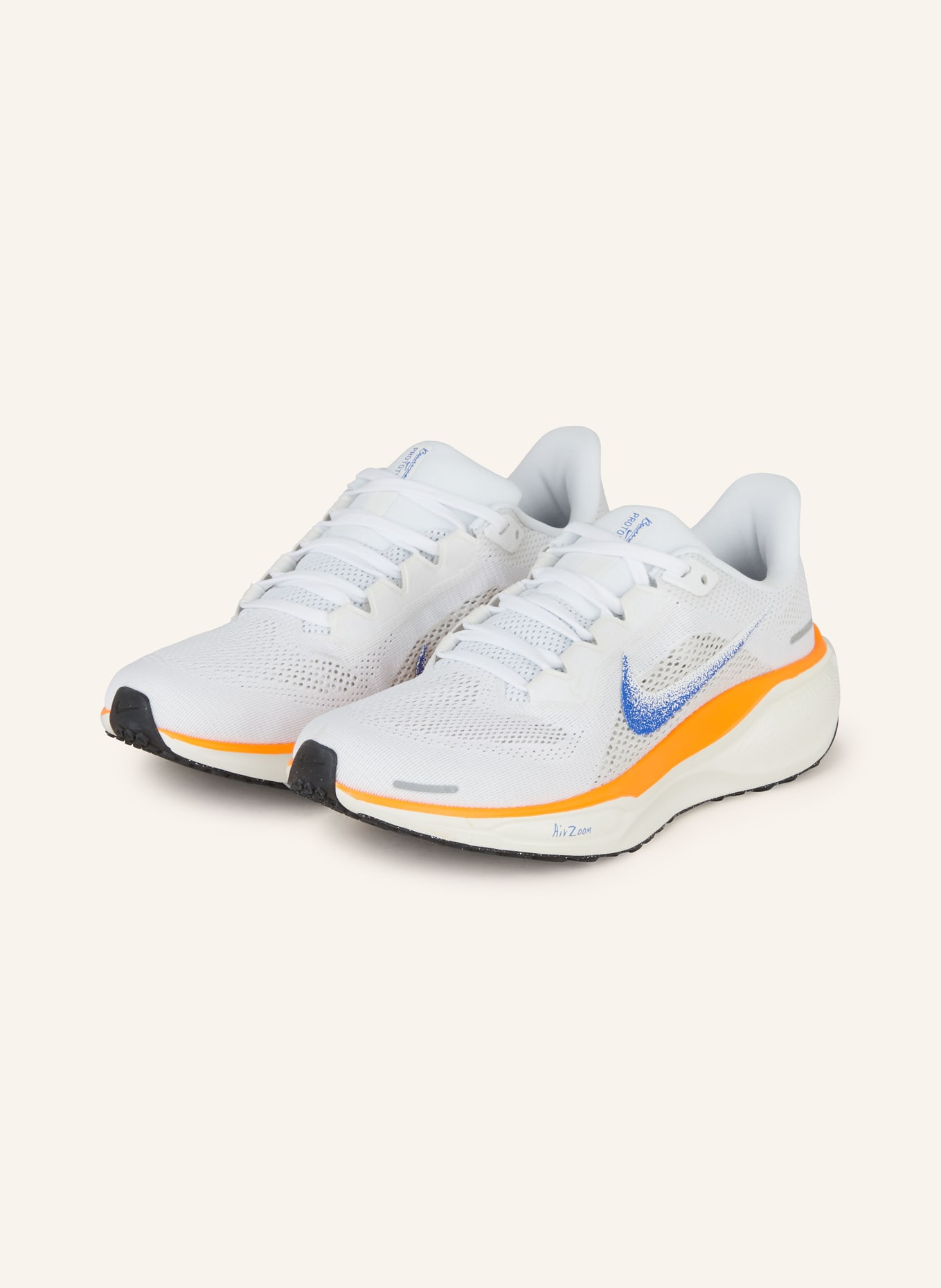 Nike Running shoes PEGASUS 41