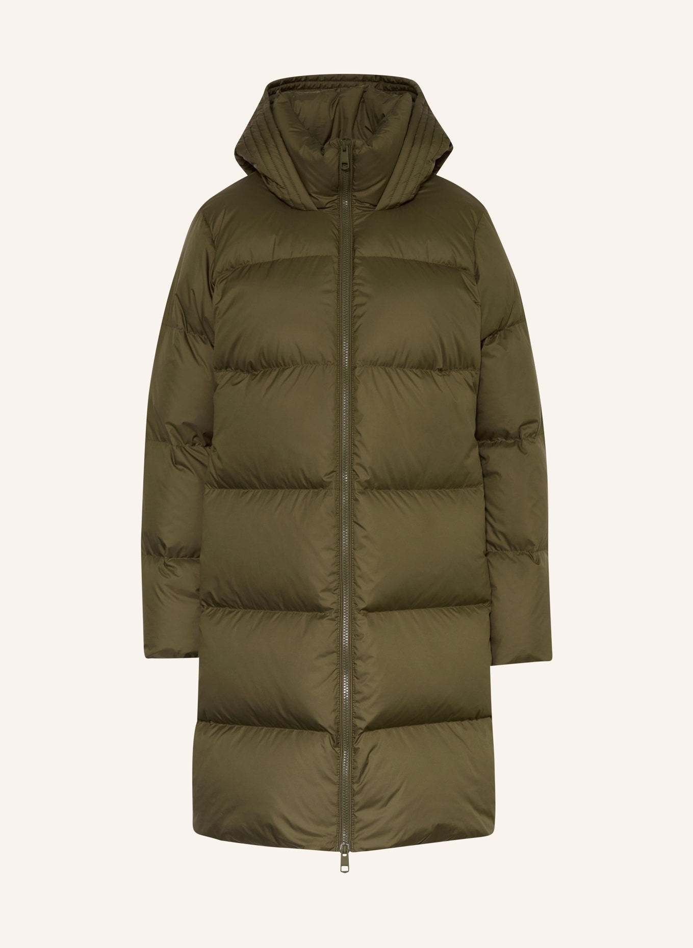 TOMMY HILFIGER Daunenjacke: OLIV