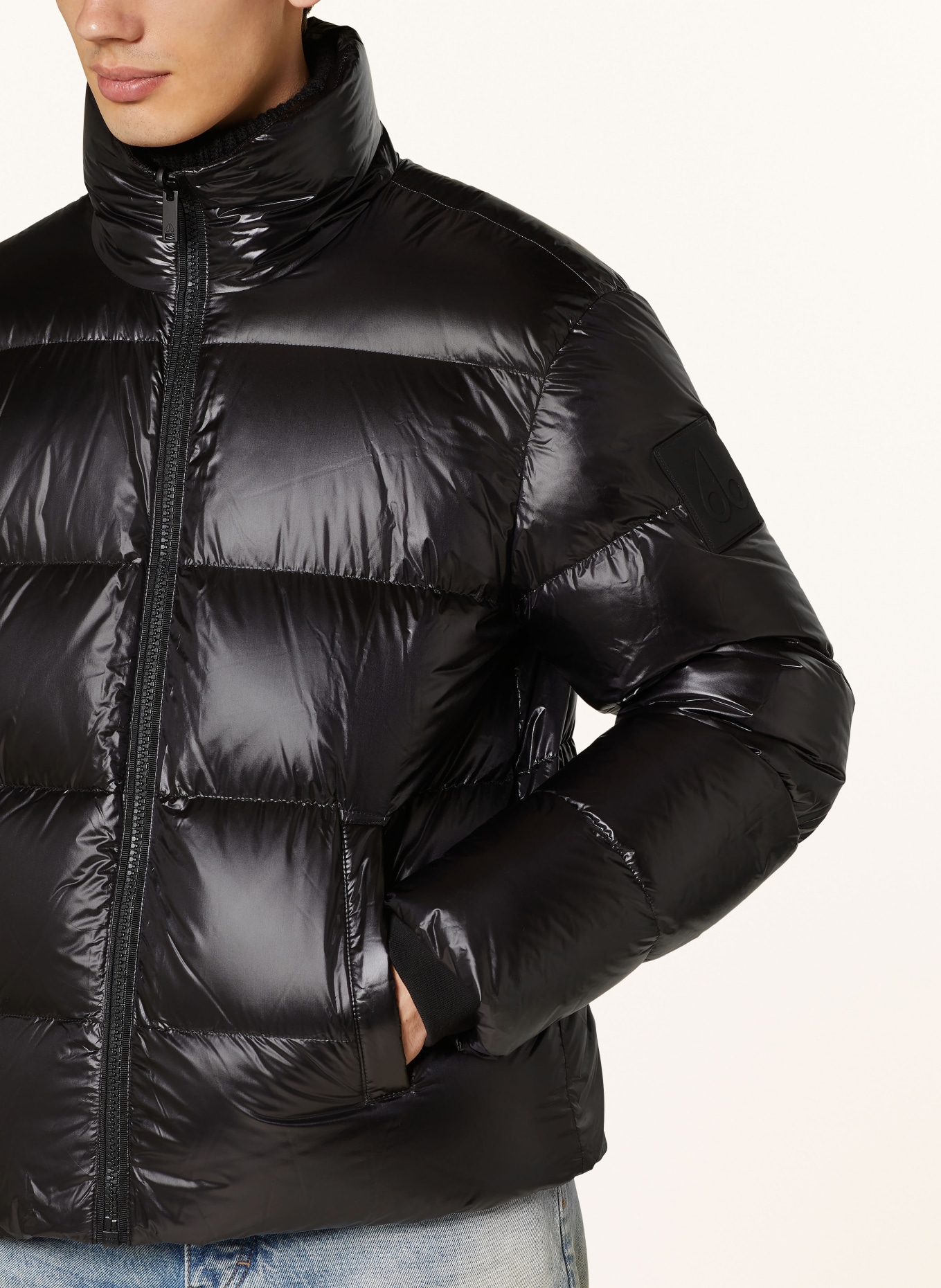MOOSE KNUCKLES Daunenjacke: SCHWARZ