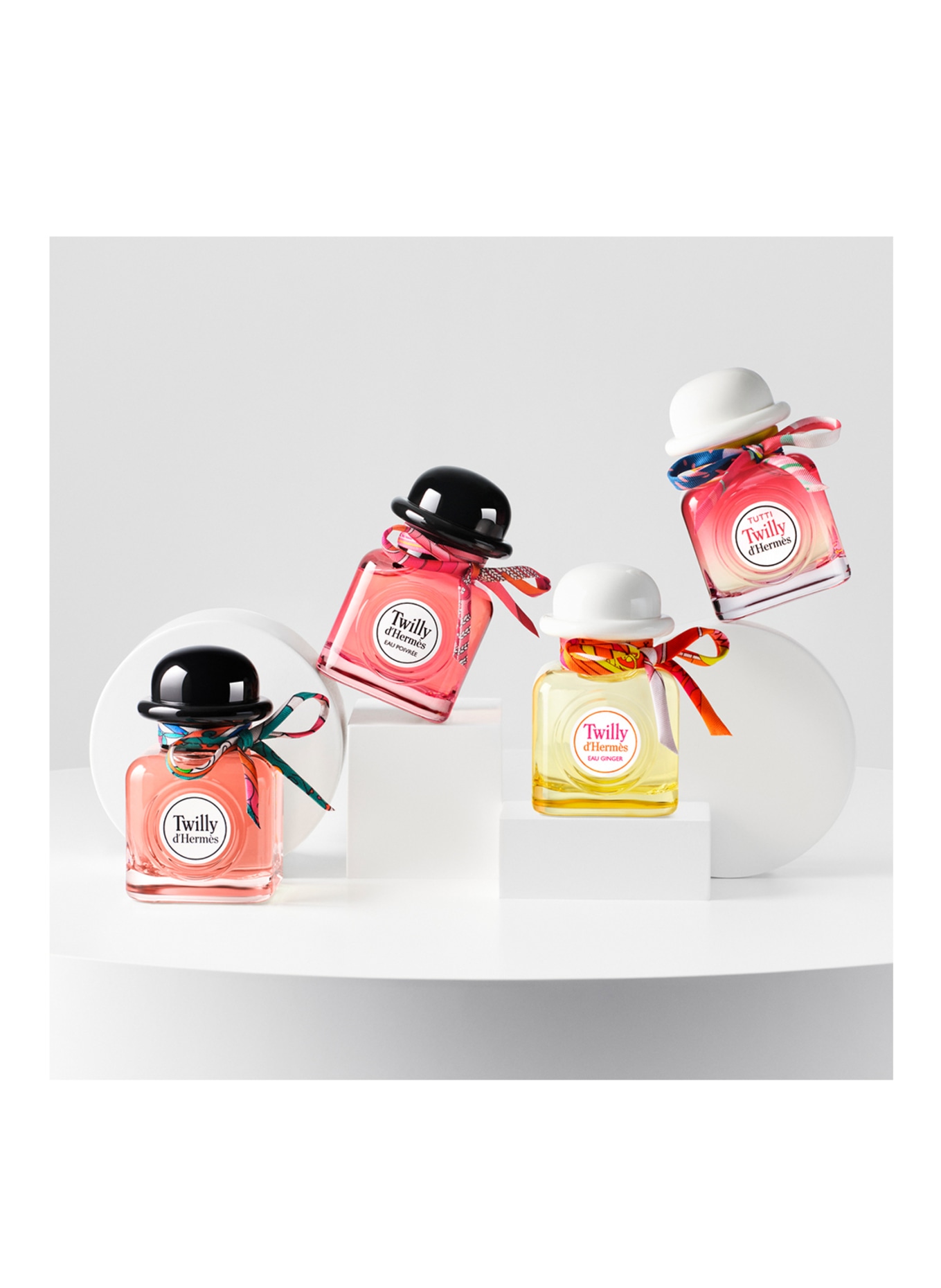 HERMÈS TUTTI TWILLY D'HERMÈS