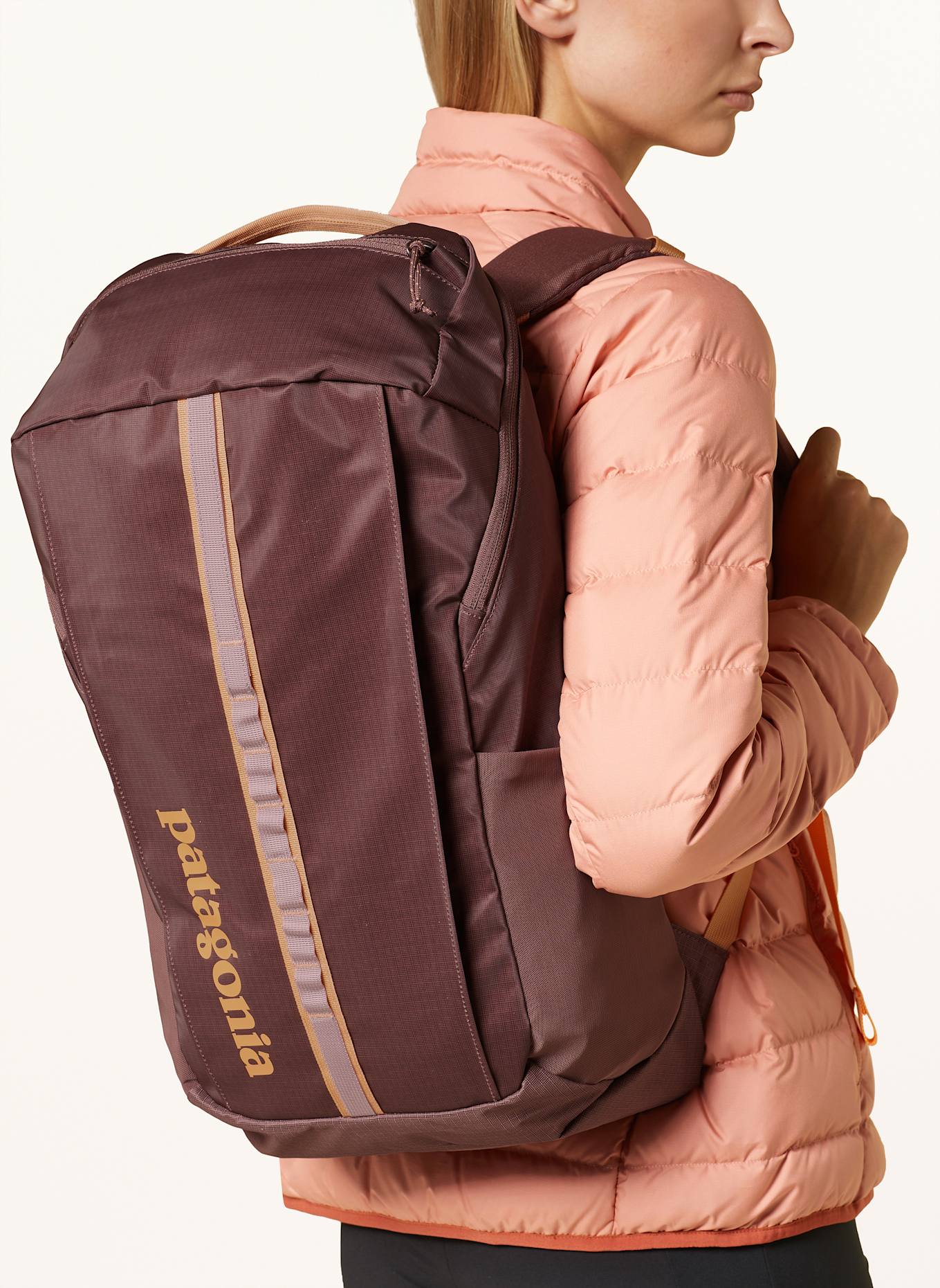 Patagonia backpacks with laptop compartment shop