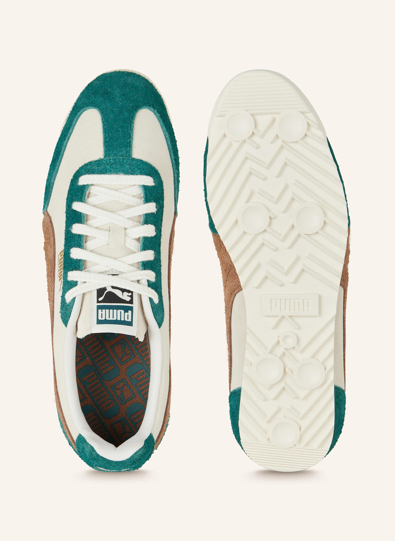 Teal puma sneakers best sale