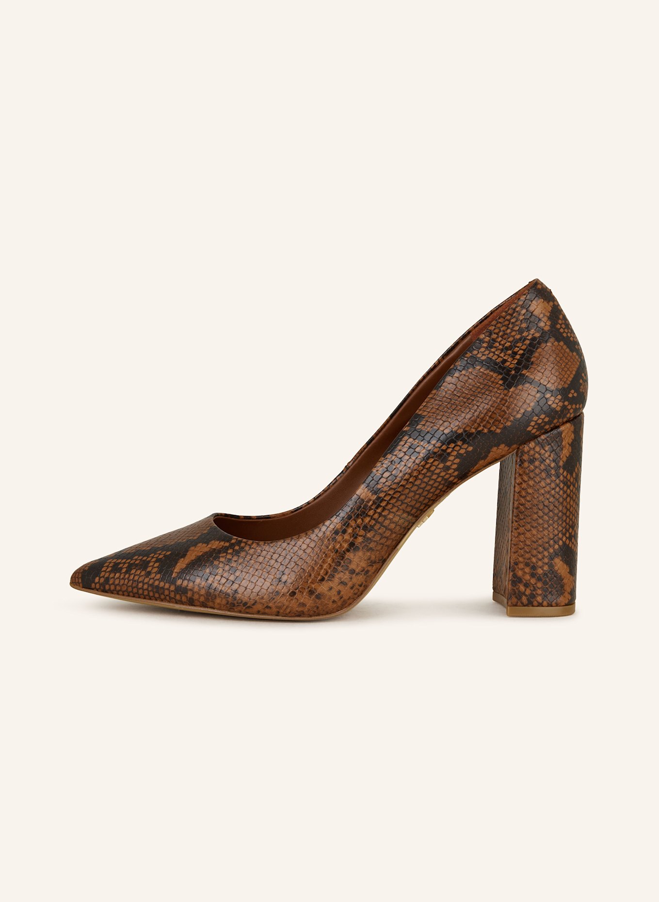 ALDO Pumps JAVABRIRYN: BRAUN/ SCHWARZ
