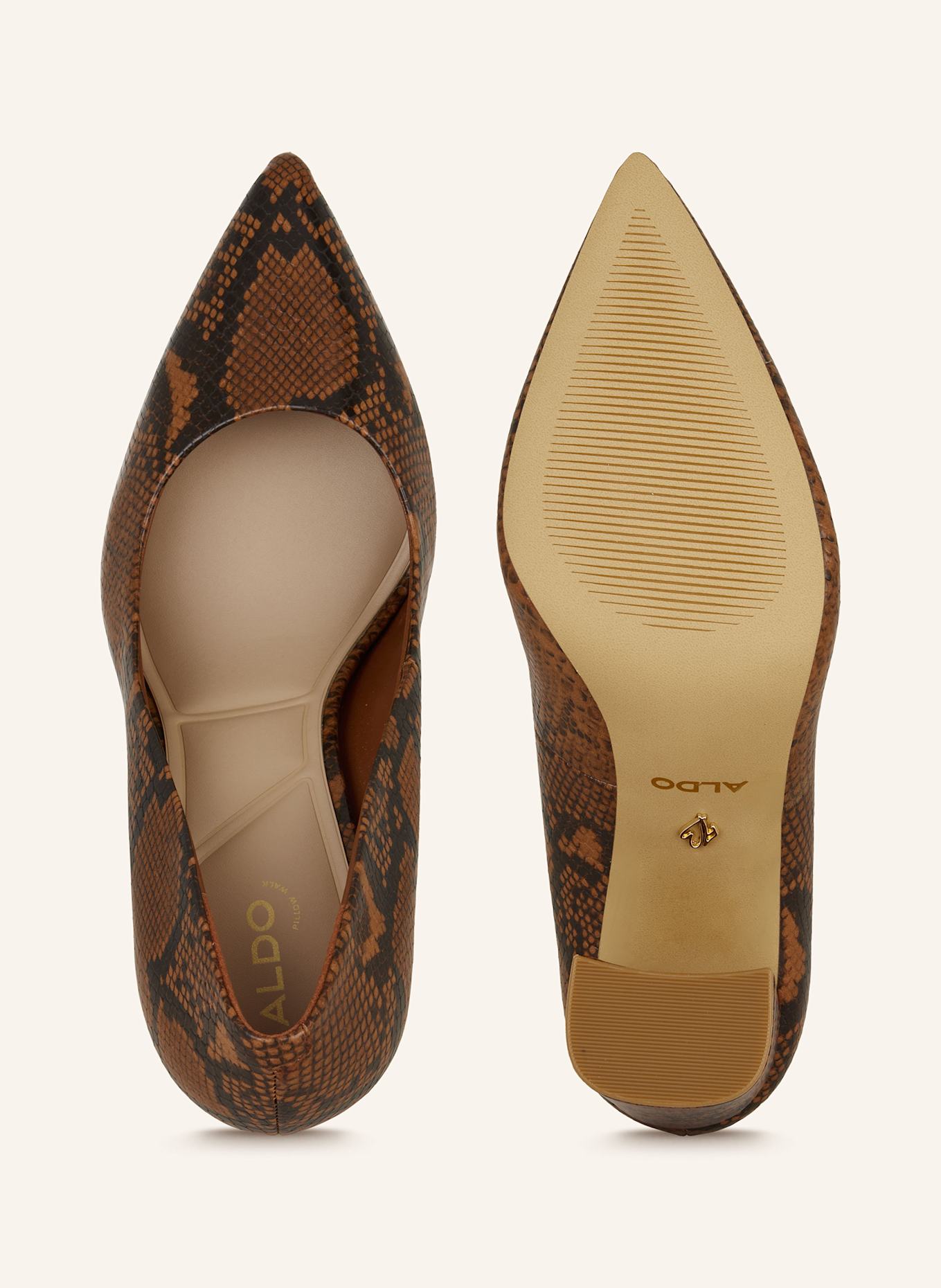 ALDO Pumps JAVABRIRYN: BRAUN/ SCHWARZ