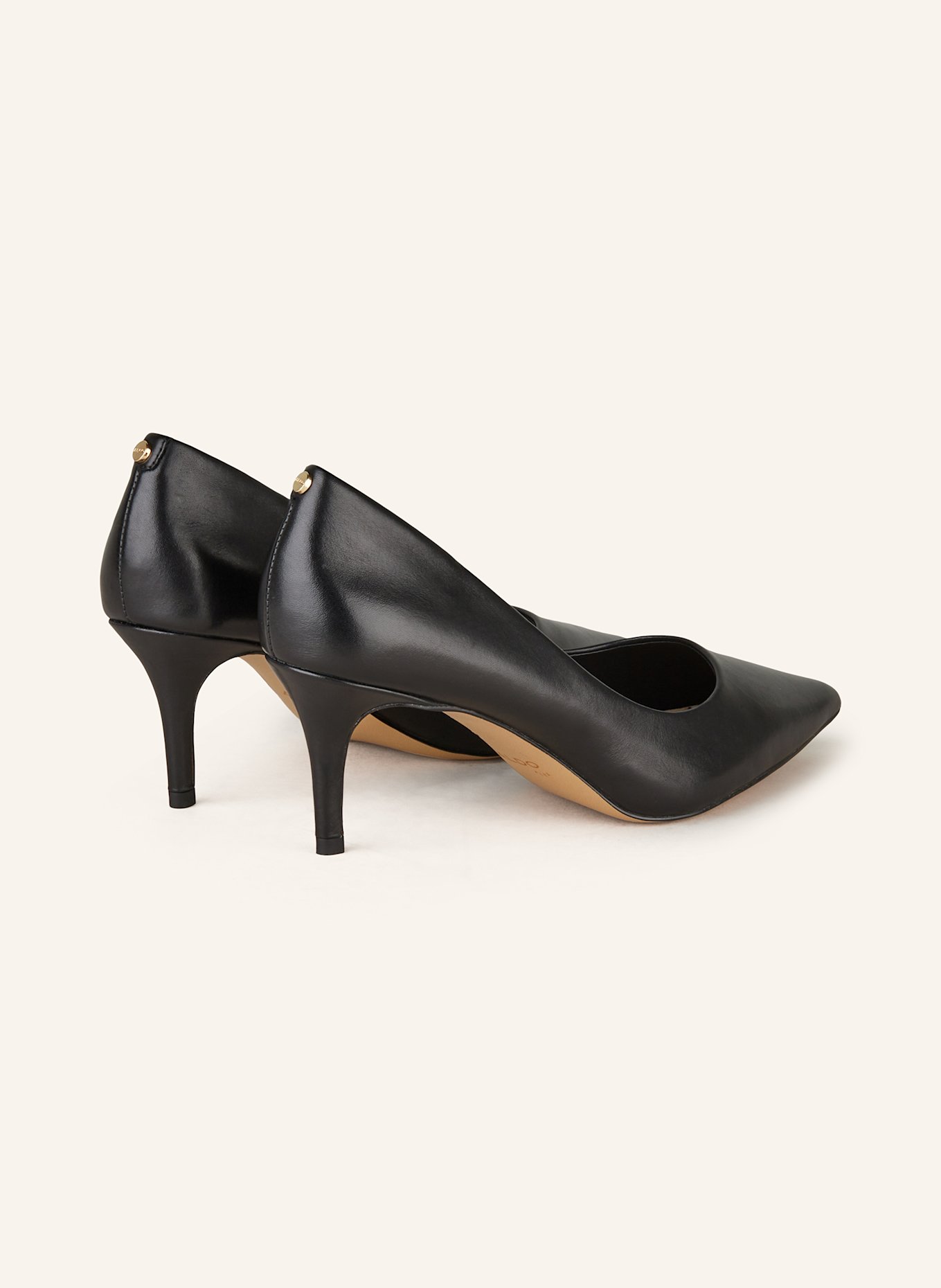 ALDO Pumps