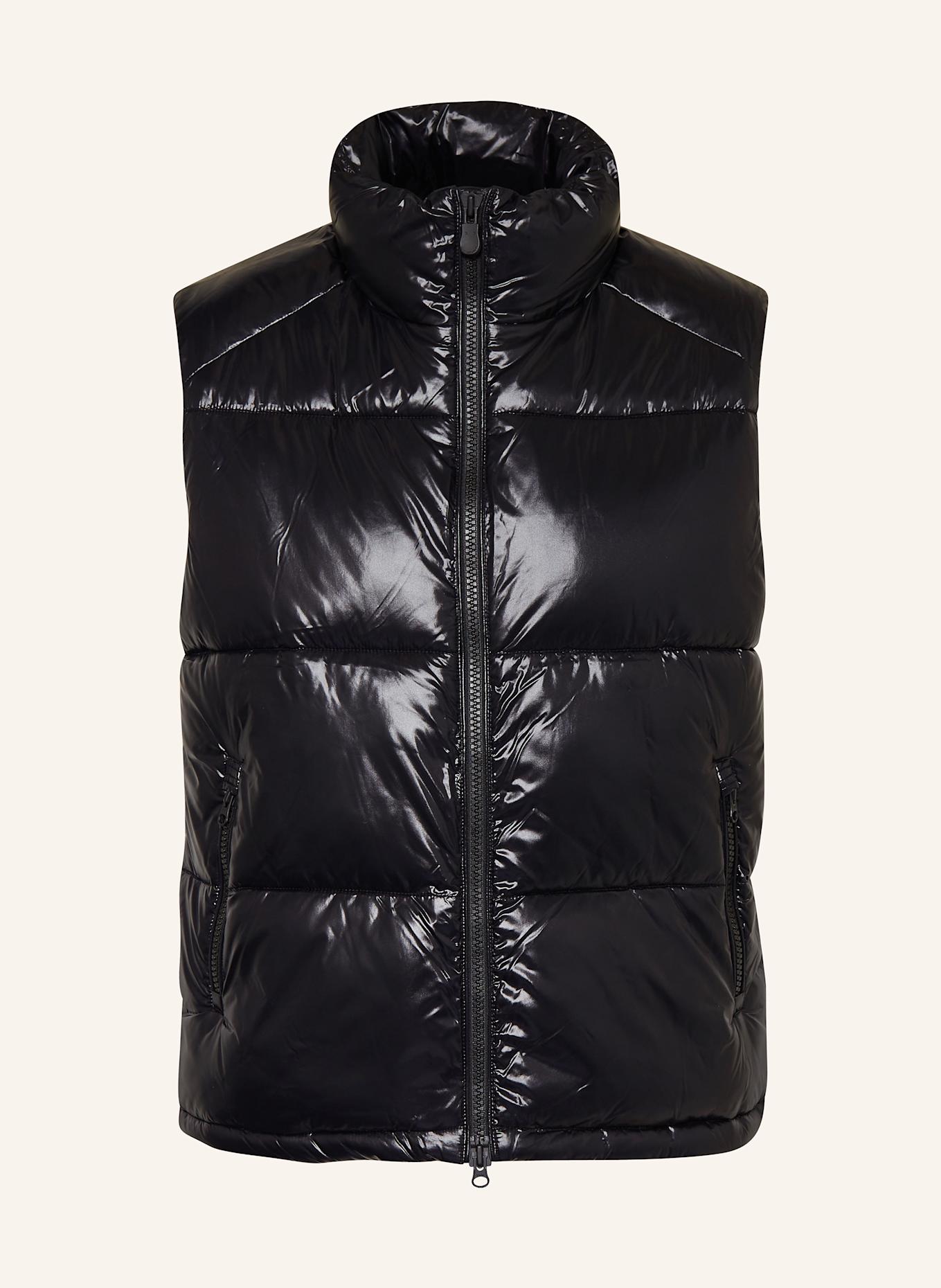 SAVE THE DUCK Steppweste AILANTUS: SCHWARZ