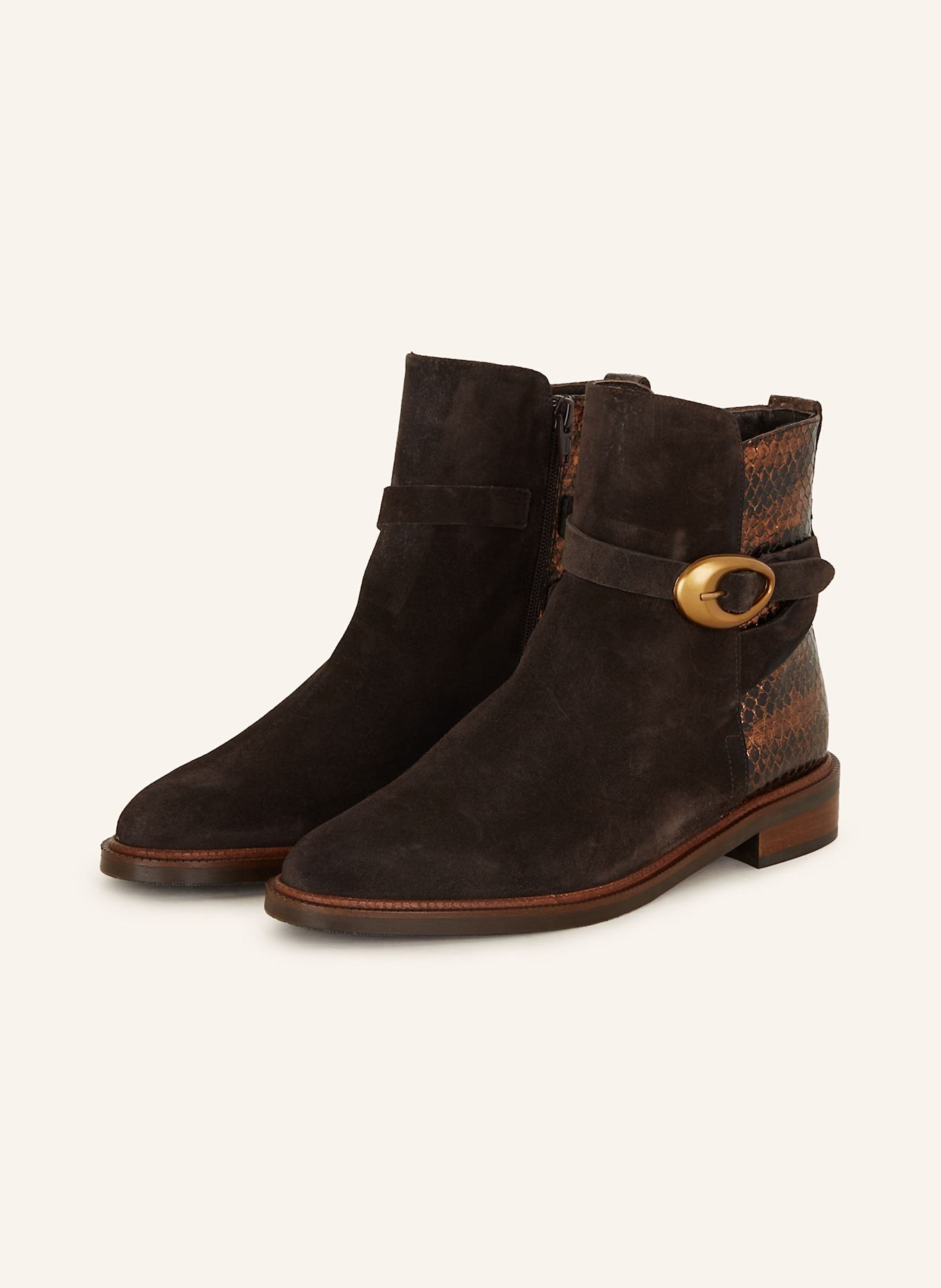 Pertini Stiefeletten: DUNKELBRAUN