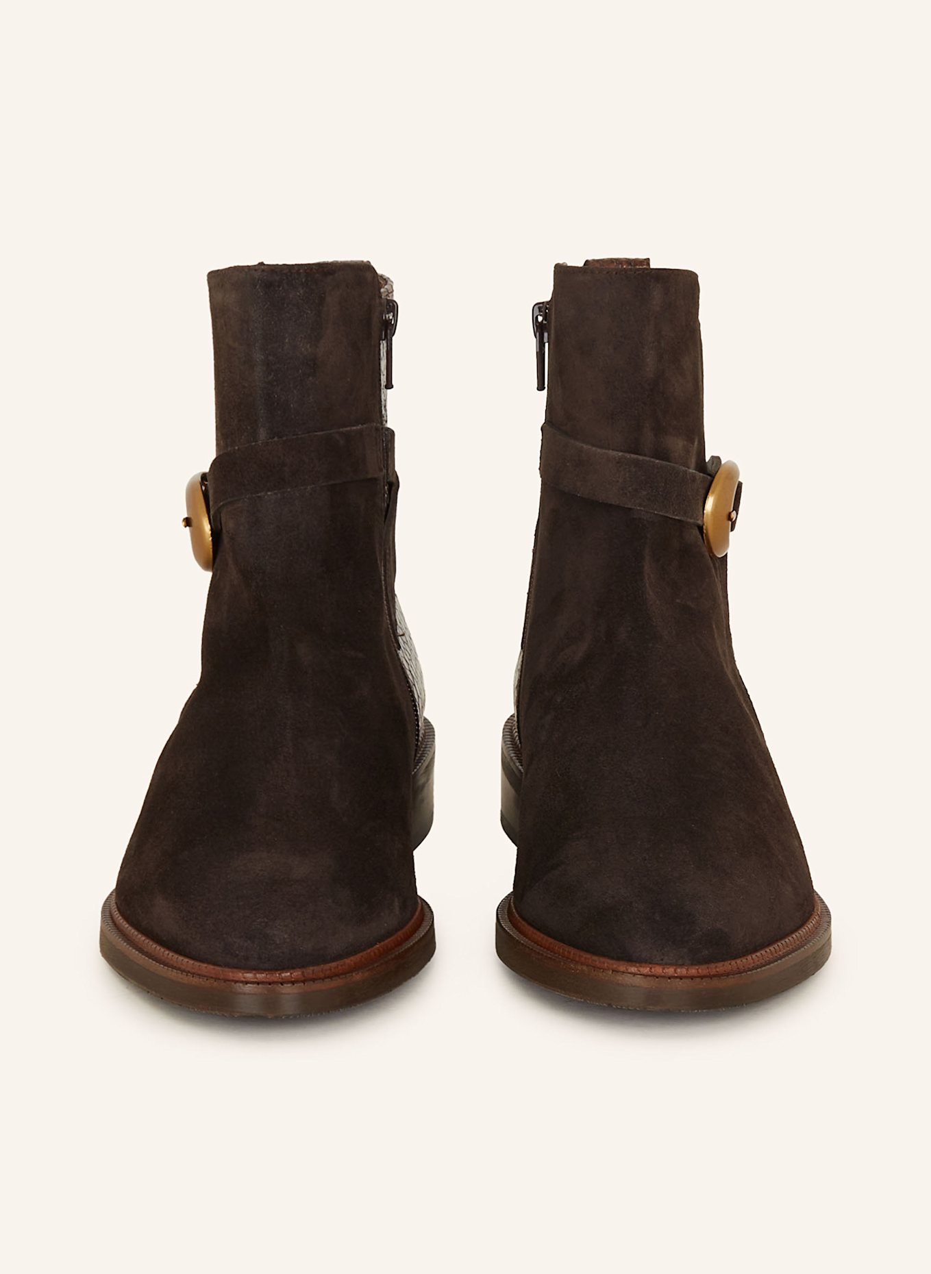Pertini Stiefeletten: DUNKELBRAUN