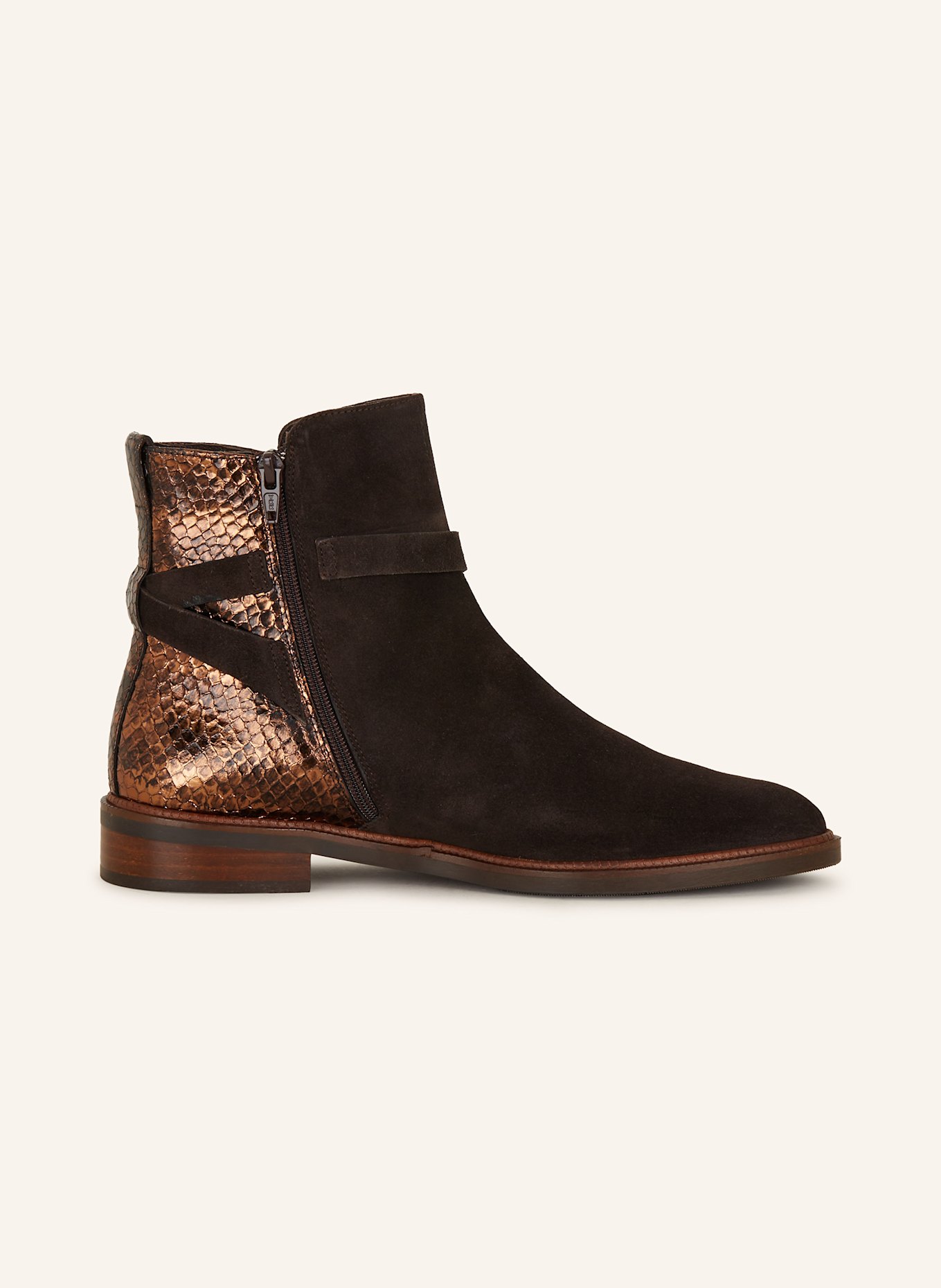 Pertini Stiefeletten: DUNKELBRAUN