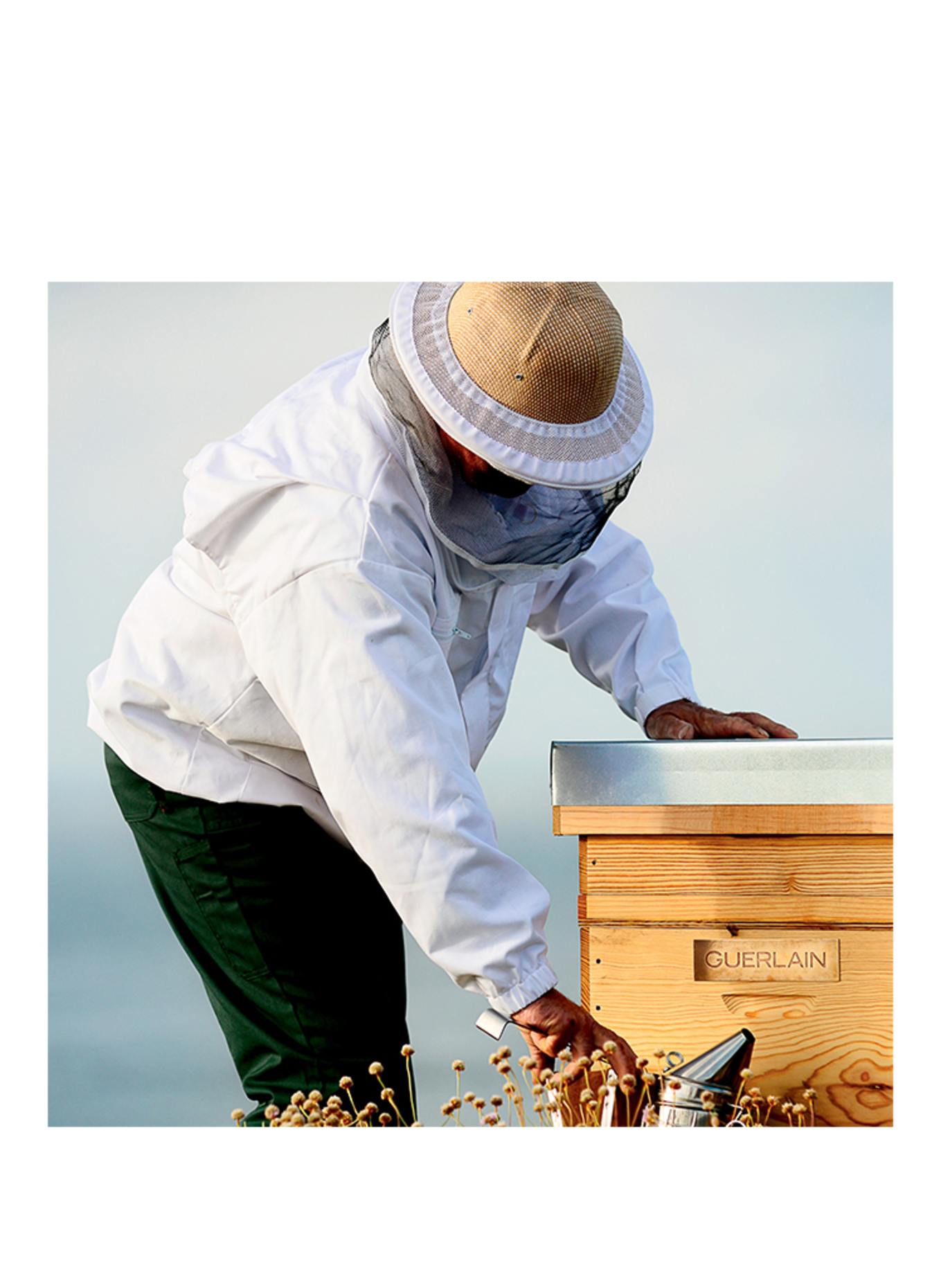 GUERLAIN ABEILLE ROYALE