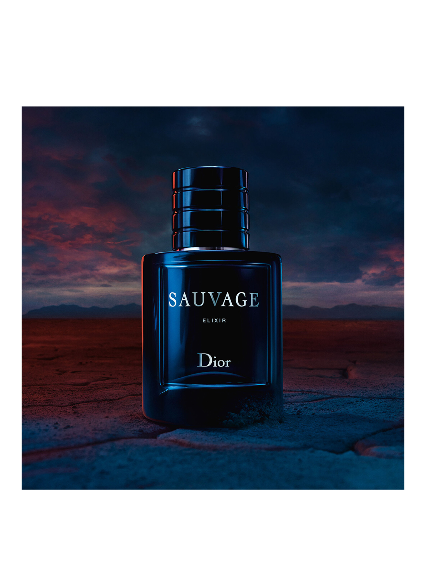 Sauvage perfume for her sale