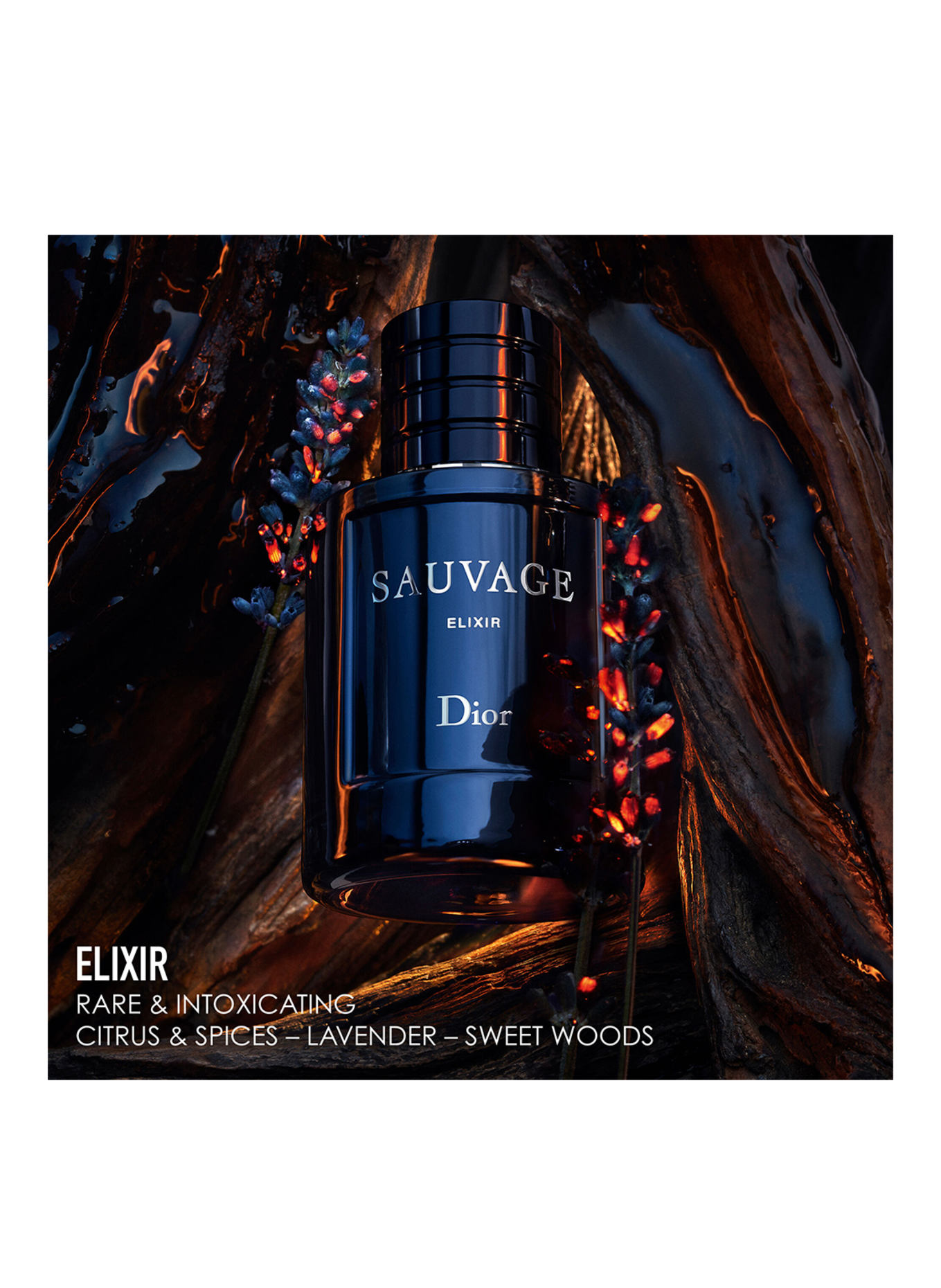 DIOR SAUVAGE ELIXIR