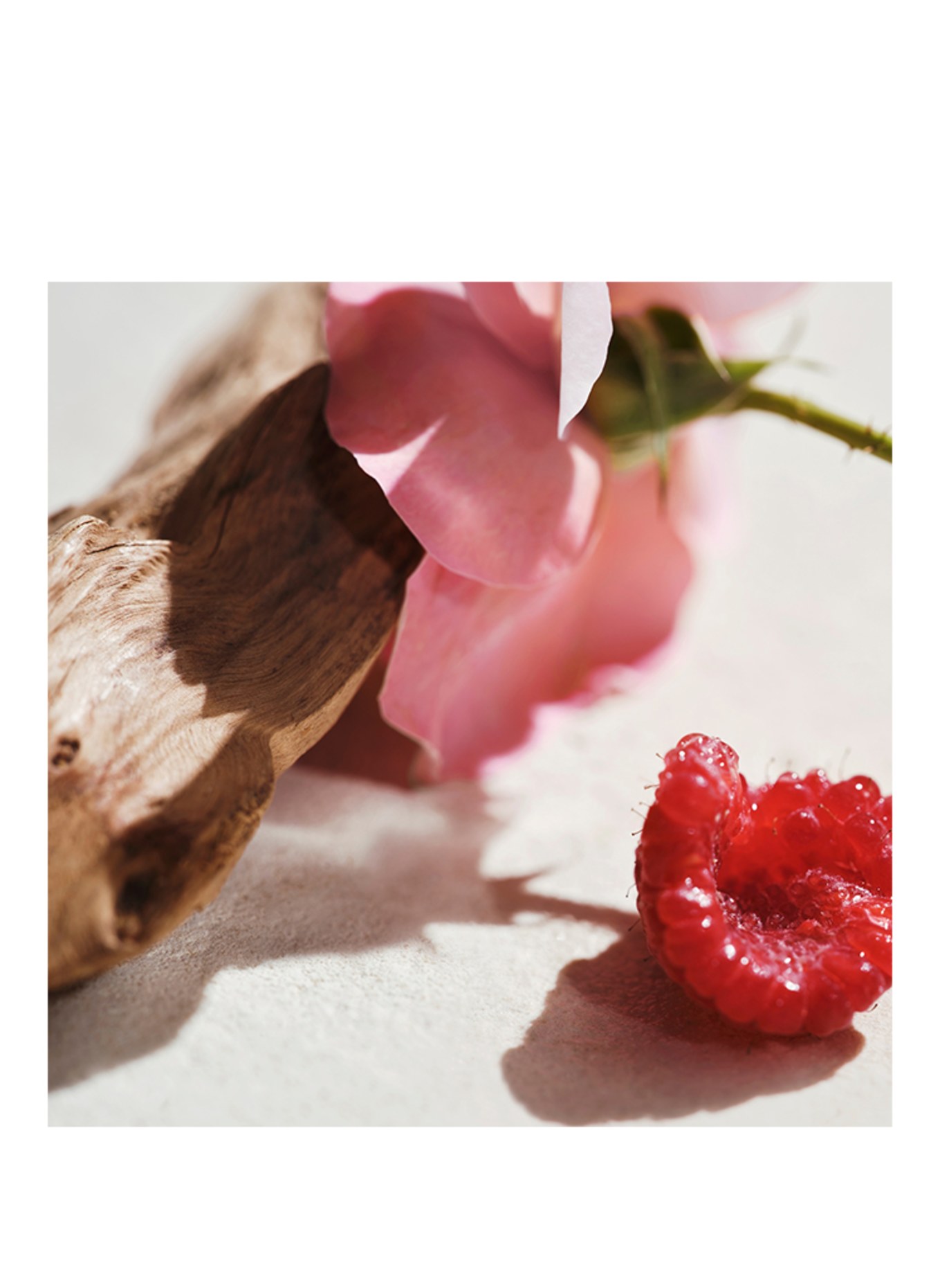 Chloé Fragrances L'EAU DE PARFUM INTENSE REFILLABLE
