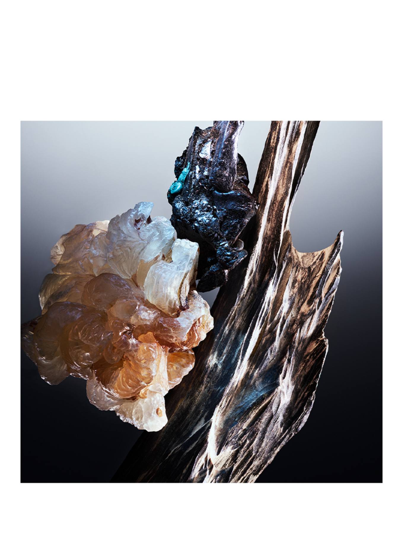 BVLGARI Fragrances LE GEMME ONEKH