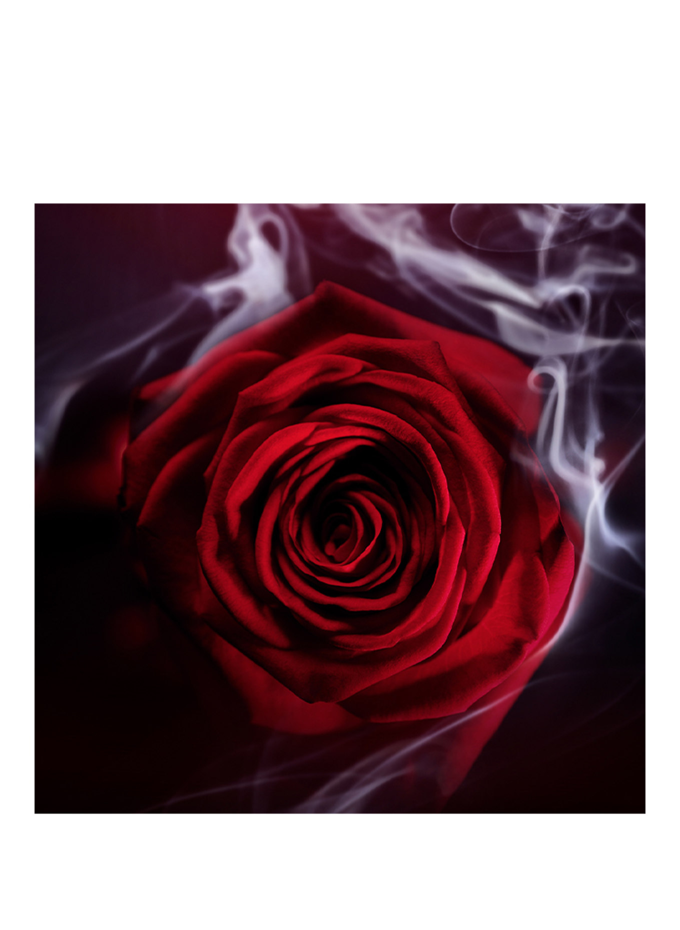 BVLGARI Fragrances LE GEMME GARANAT