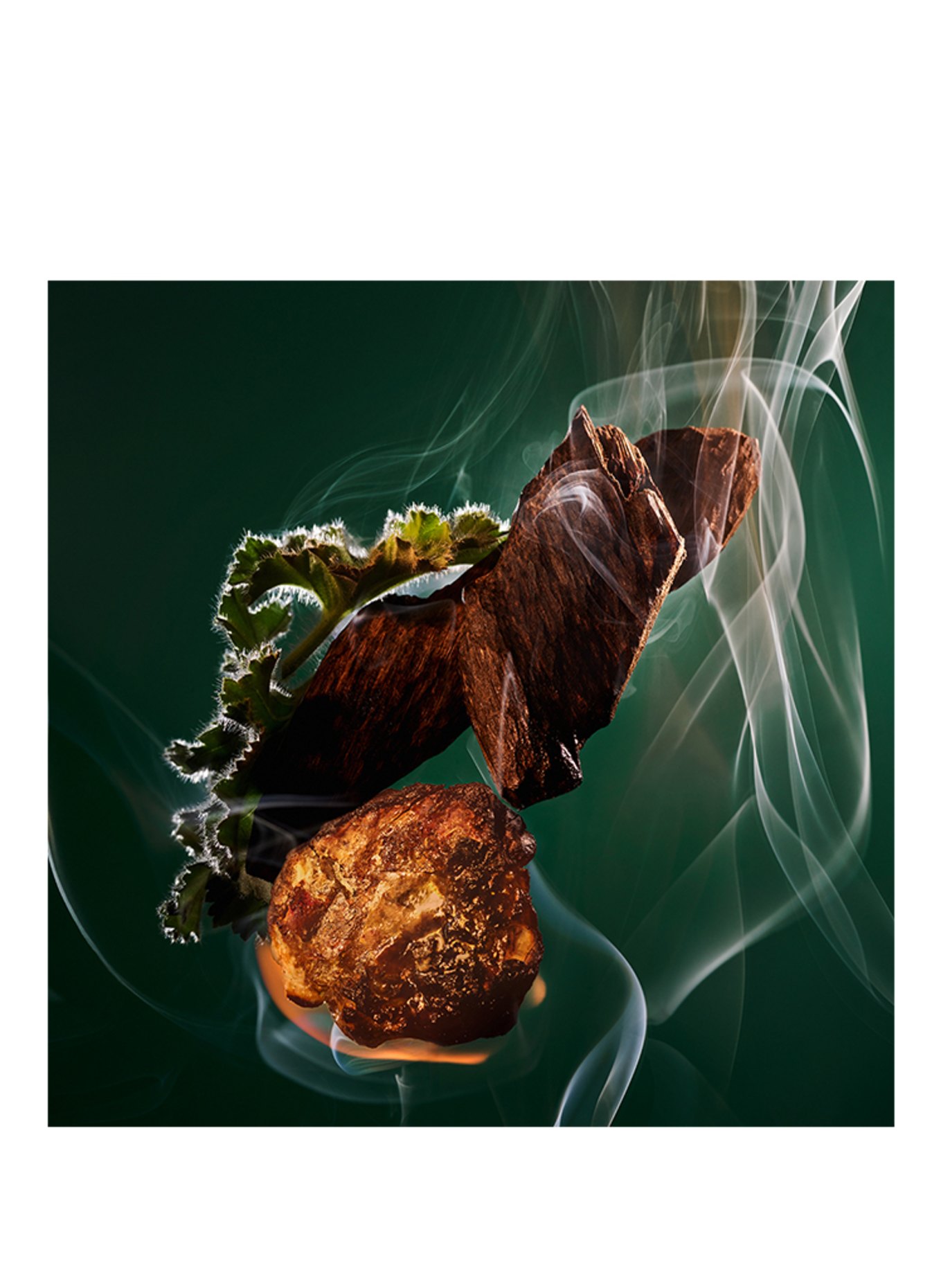 BVLGARI Fragrances LES GEMMES KOBRAA