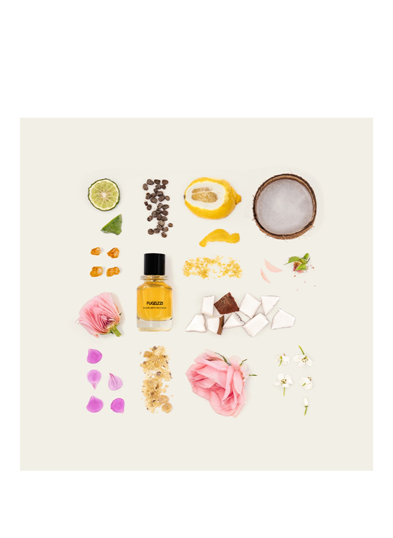 FUGAZZI AMOUREUX DES COCOS