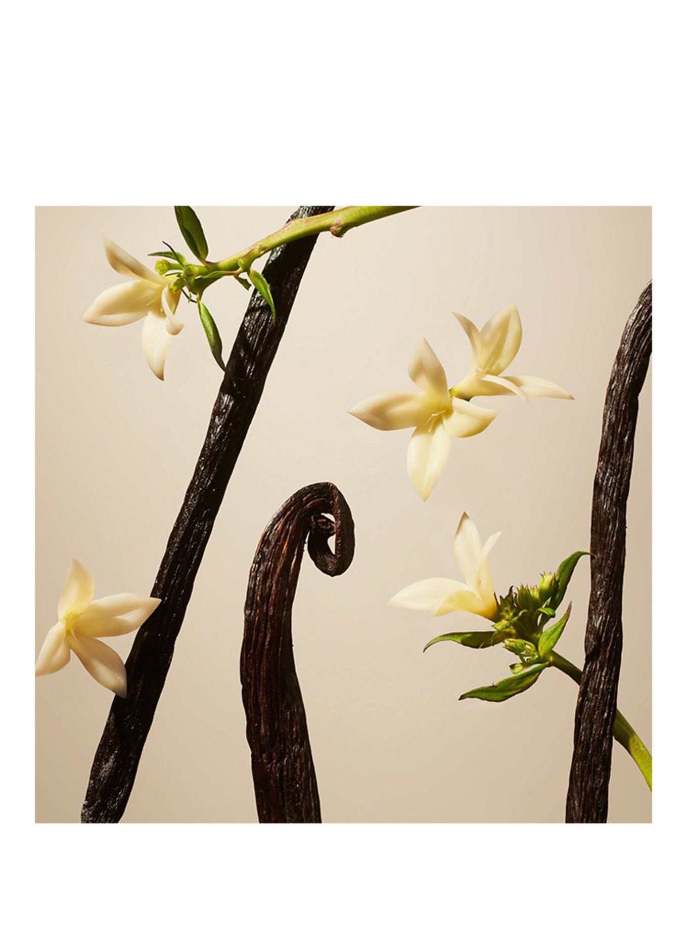 RITUALS SUEDE VANILLA