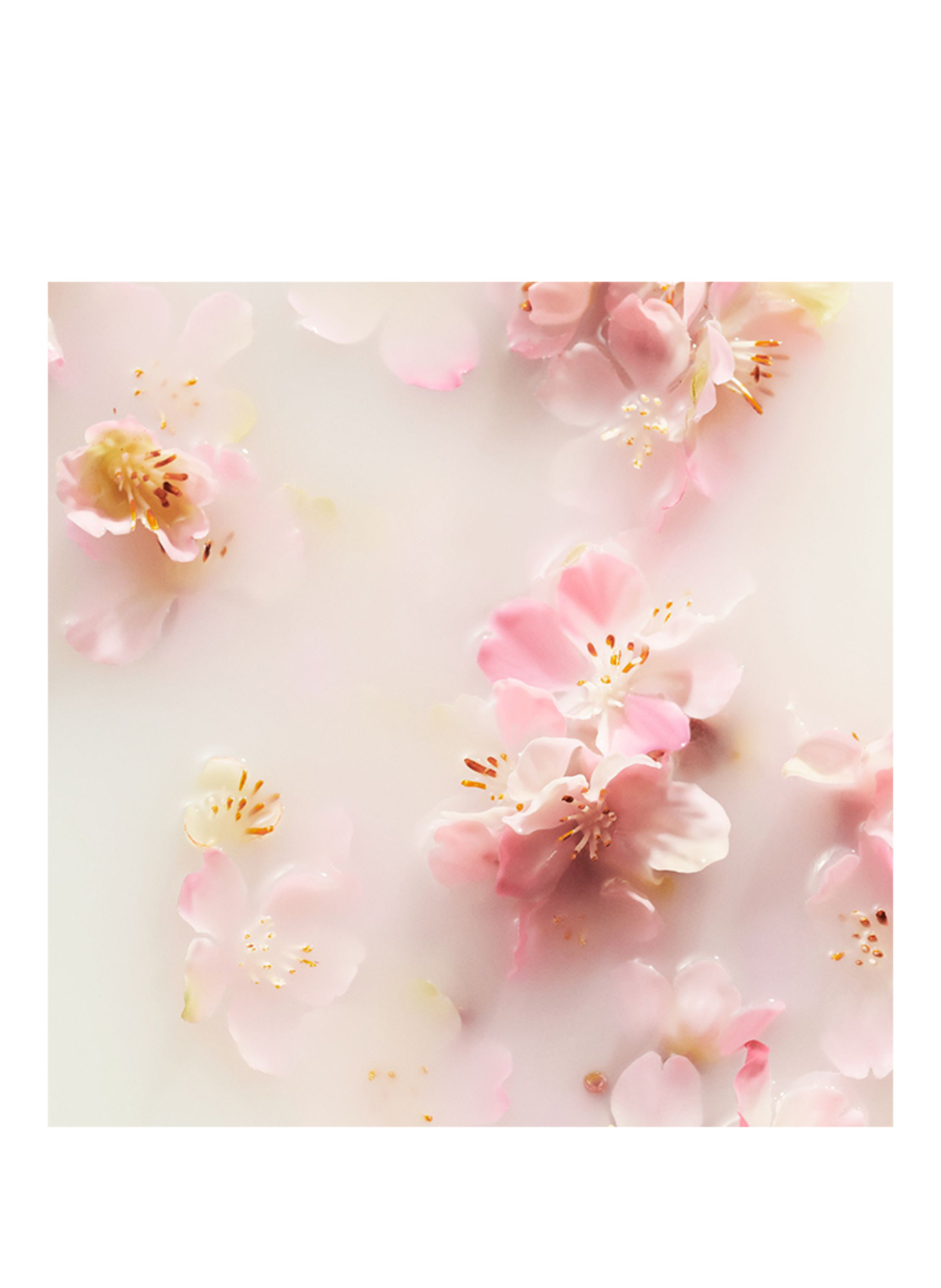 RITUALS LE RITUEL DE SAKURA RECHARGE