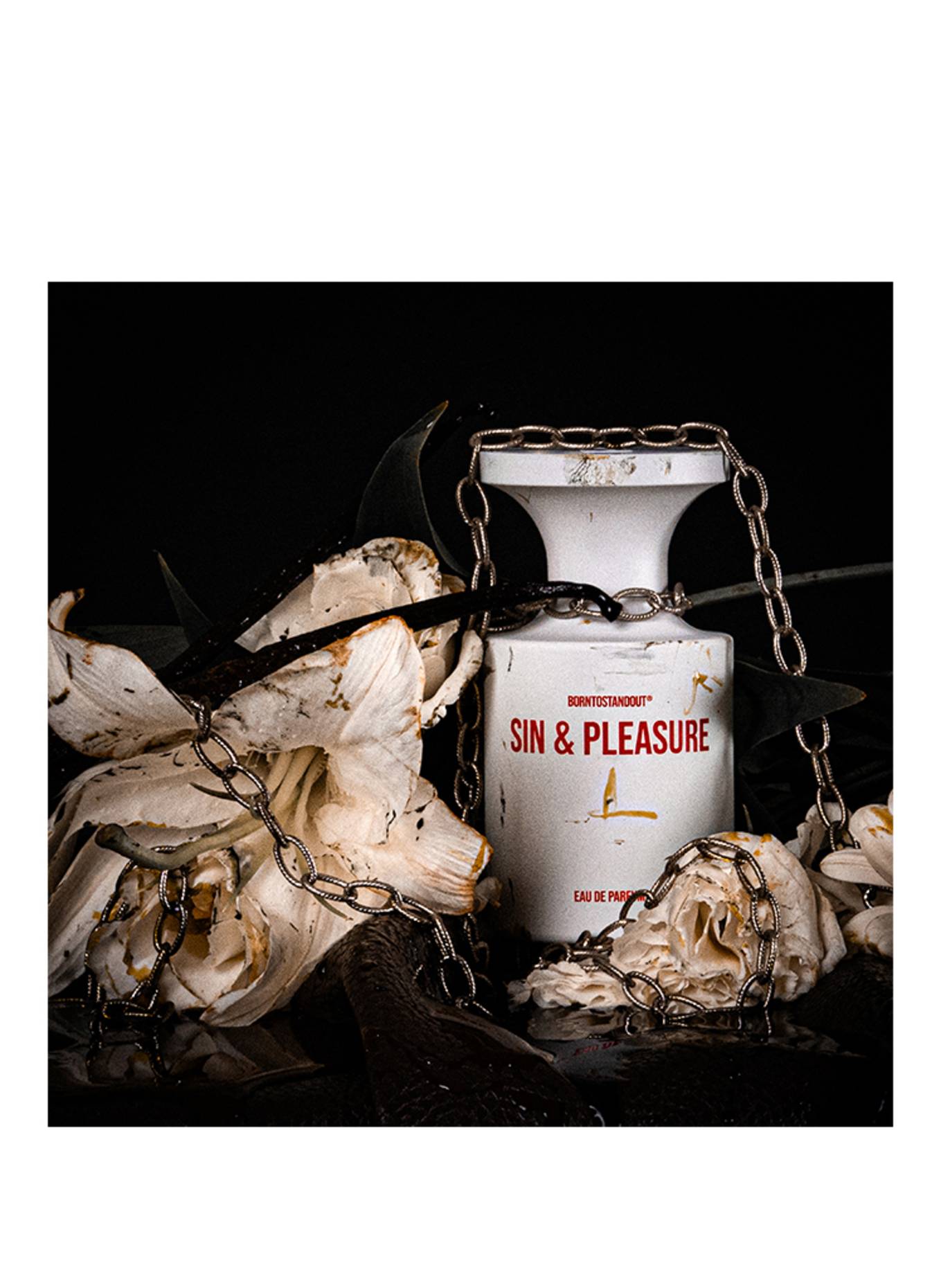 BORNTOSTANDOUT SIN & PLEASURE