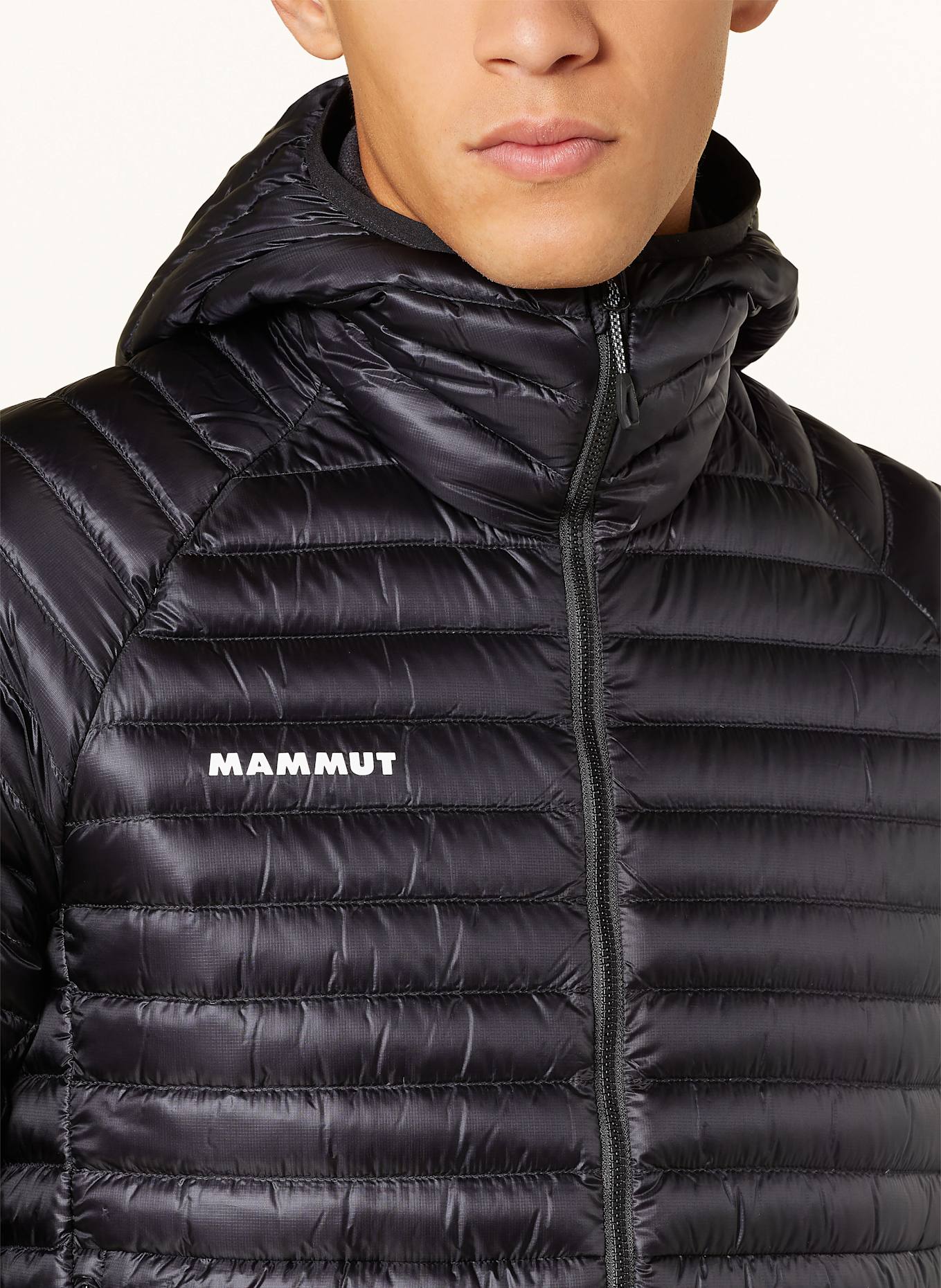Mammut lightweight jacket store