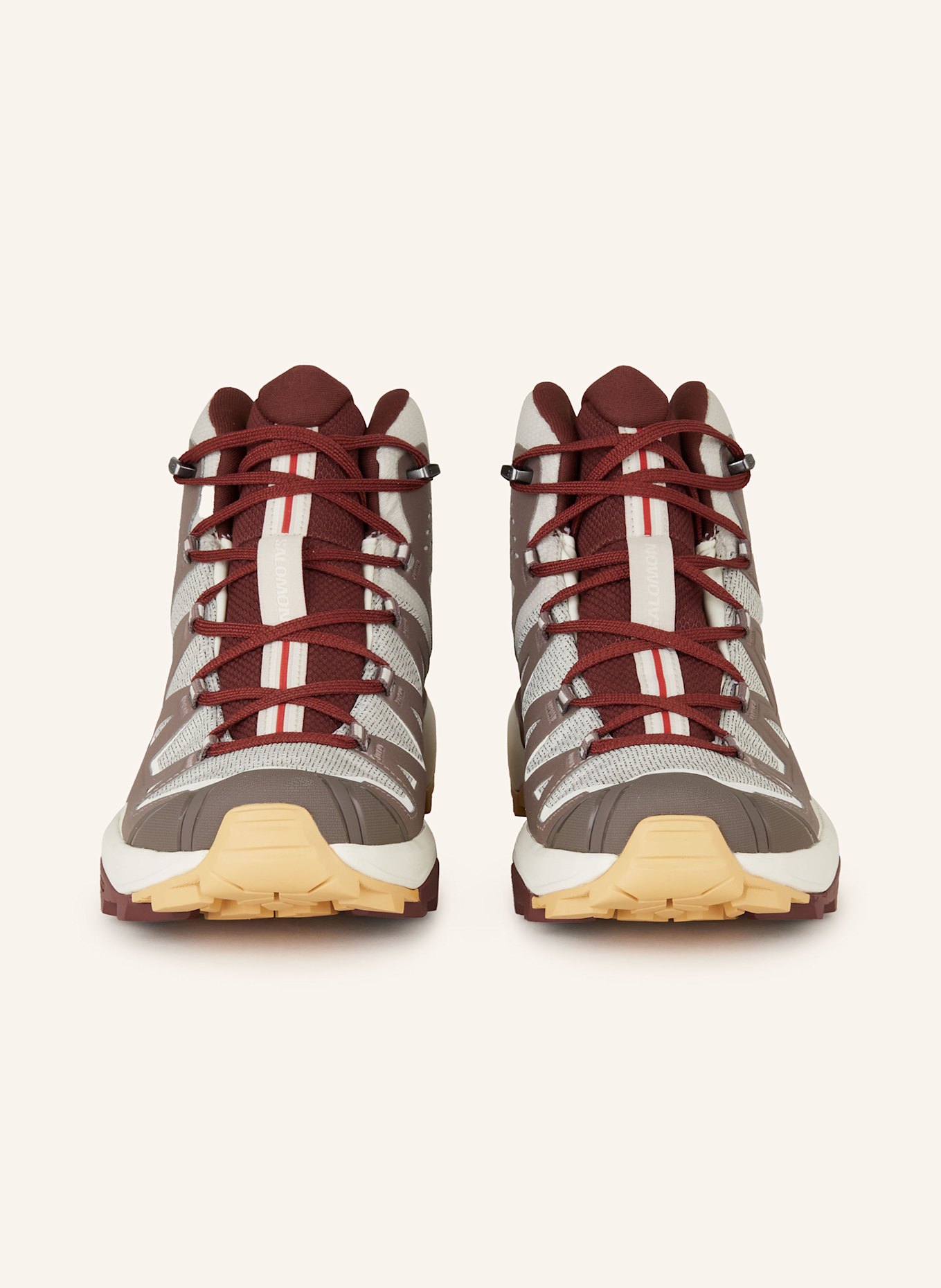 SALOMON Wanderschuhe X ULTRA 360 EDGE MID GTX: BRAUN / HELLBRAUN