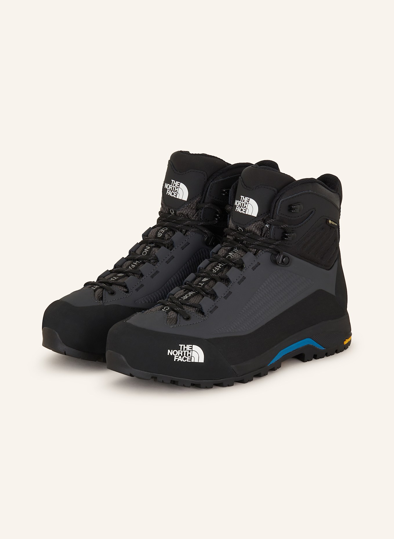 Alpine hiking shoes clearance