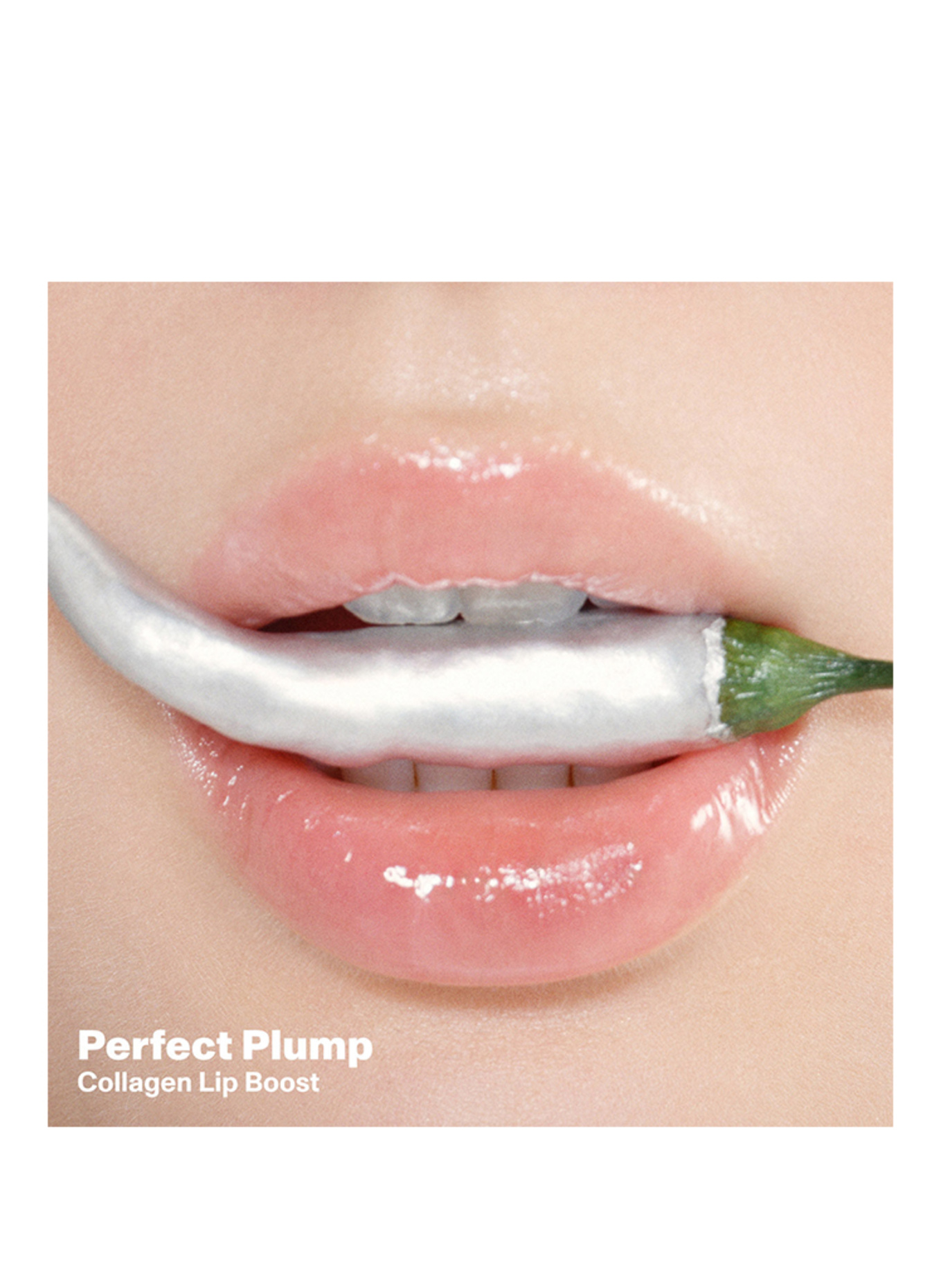 DR. EMI ARPA SKIN LAVISH LIP SET