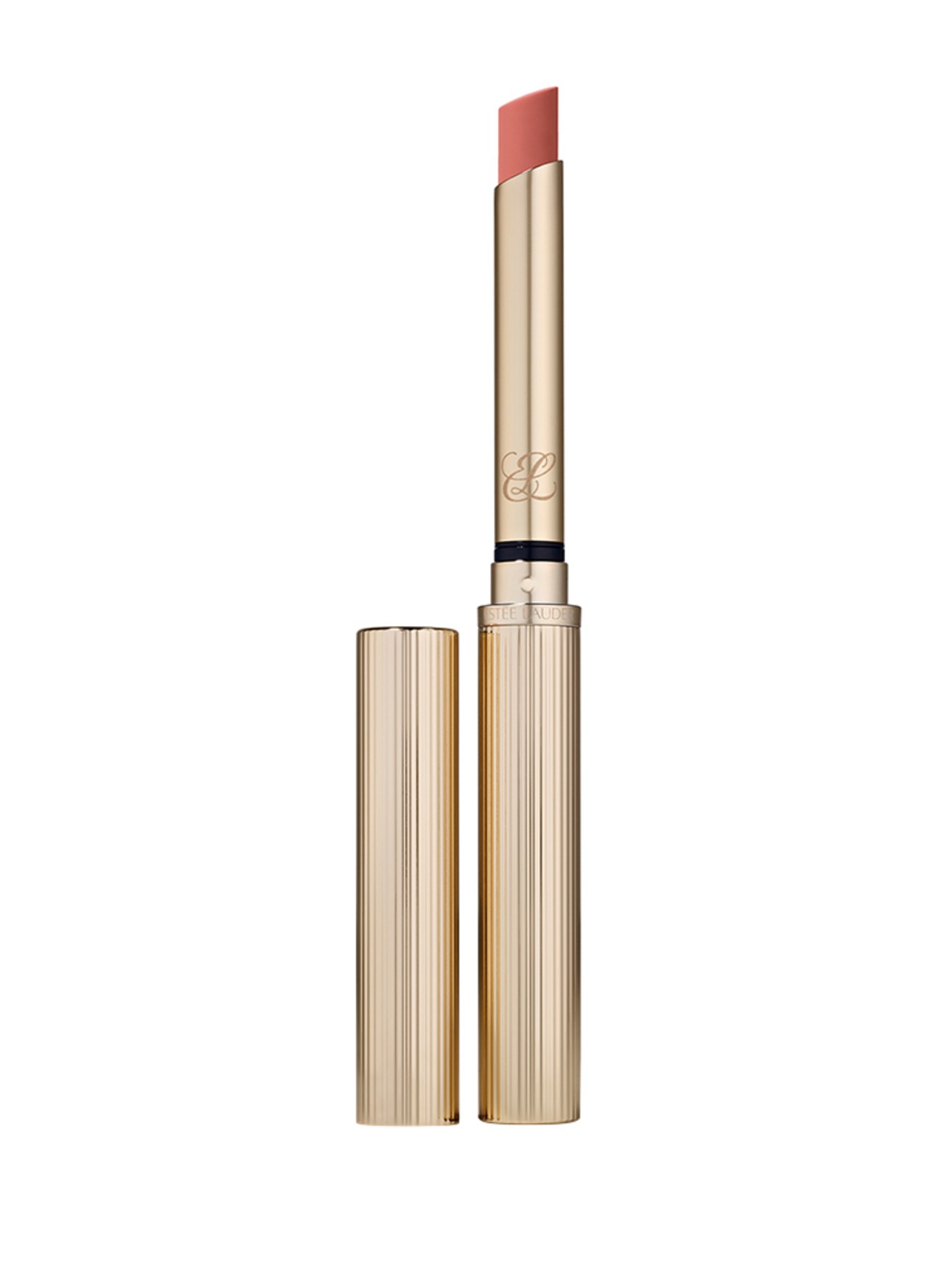 ESTÉE LAUDER PURE COLOR EXPLICIT MATTE LIPSTICK: STATIC