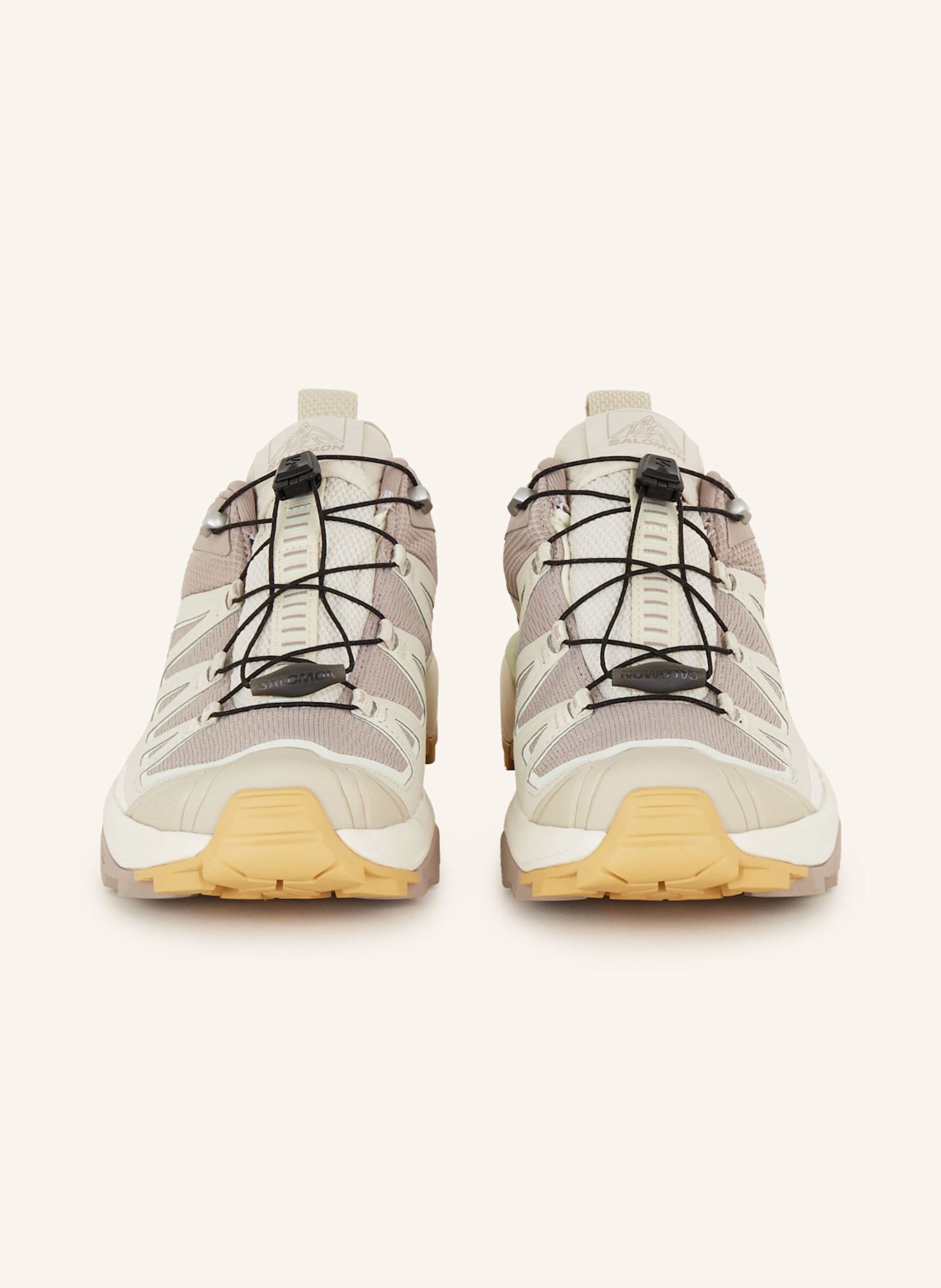 SALOMON Wandelschoenen X ULTRA 360 EDGE GTX: GRIJS / TAUPE