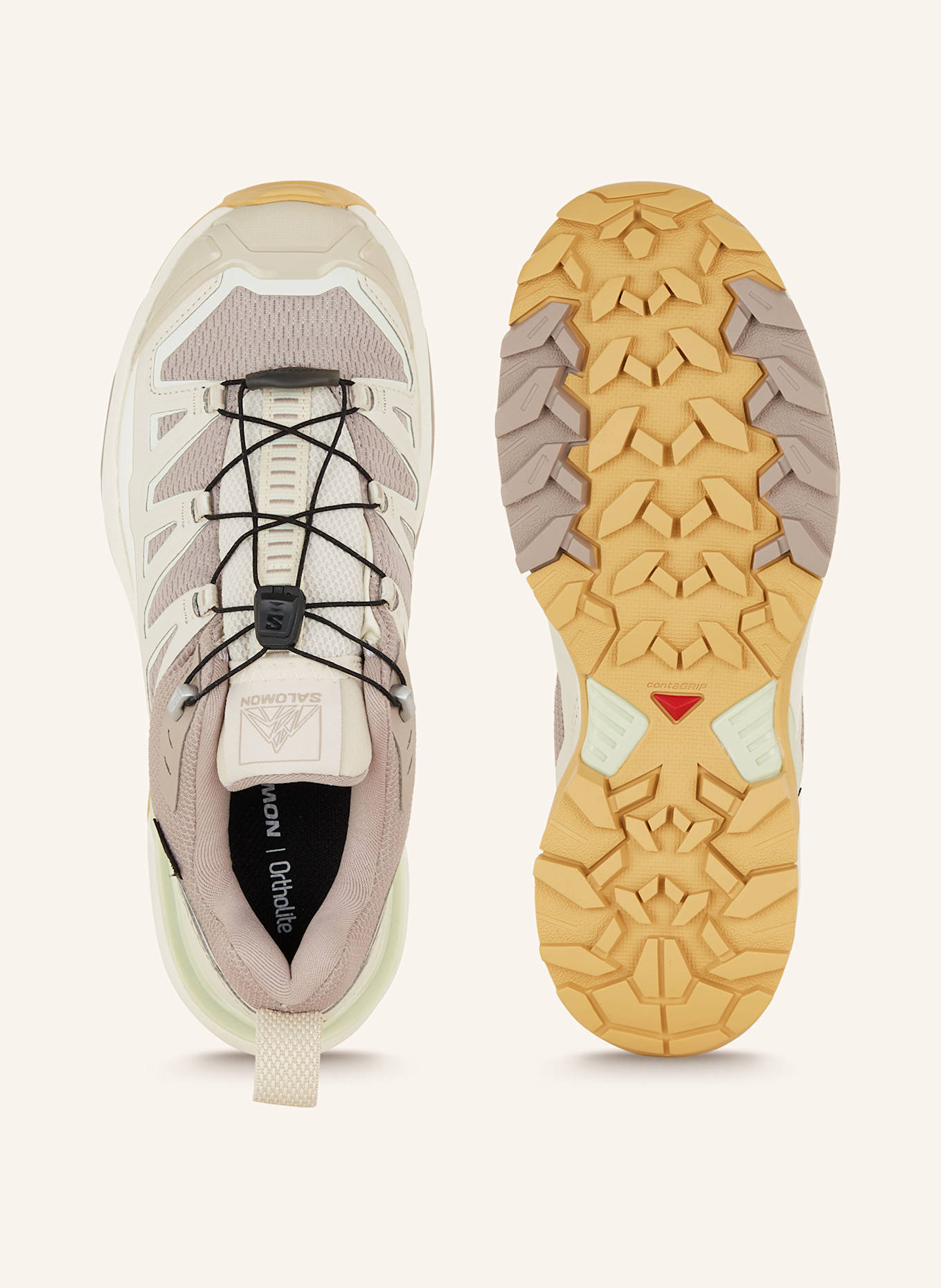 SALOMON Wandelschoenen X ULTRA 360 EDGE GTX: GRIJS / TAUPE