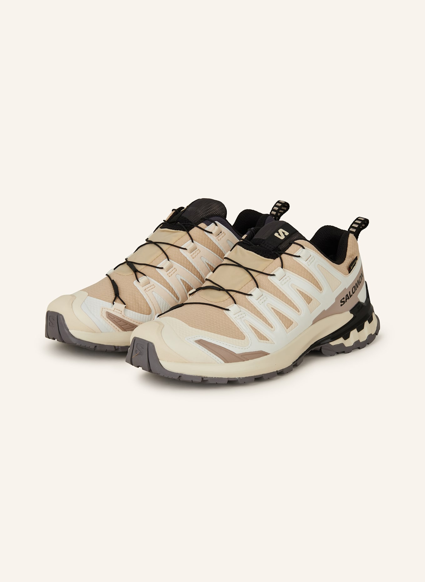 SALOMON Wanderschuhe XA PRO 3D V9 GTX: BEIGE / ECRU