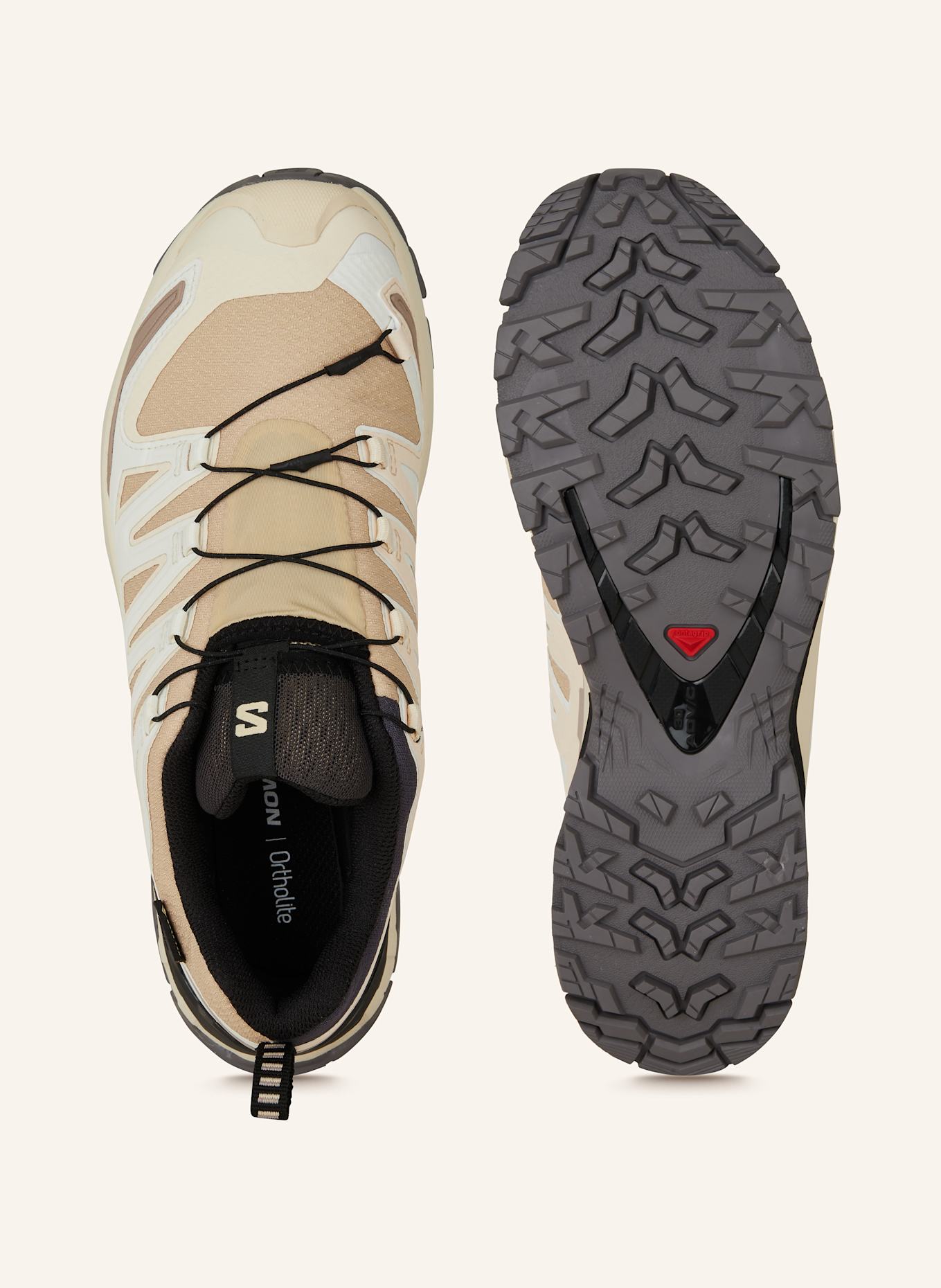 SALOMON Wanderschuhe XA PRO 3D V9 GTX: BEIGE / ECRU