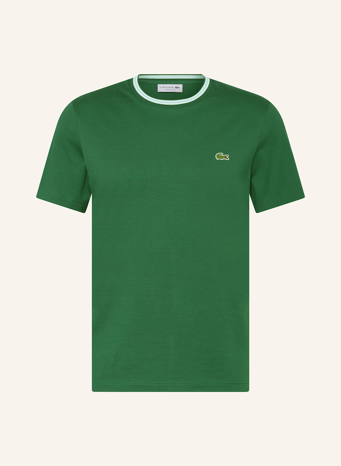 LACOSTE T-Shirt: GRÜN