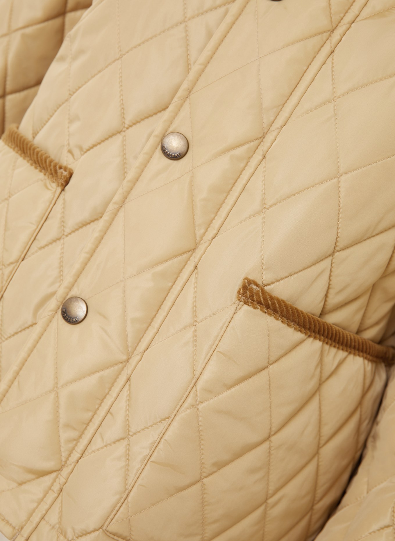 BURBERRY Steppjacke: DUNKELGELB