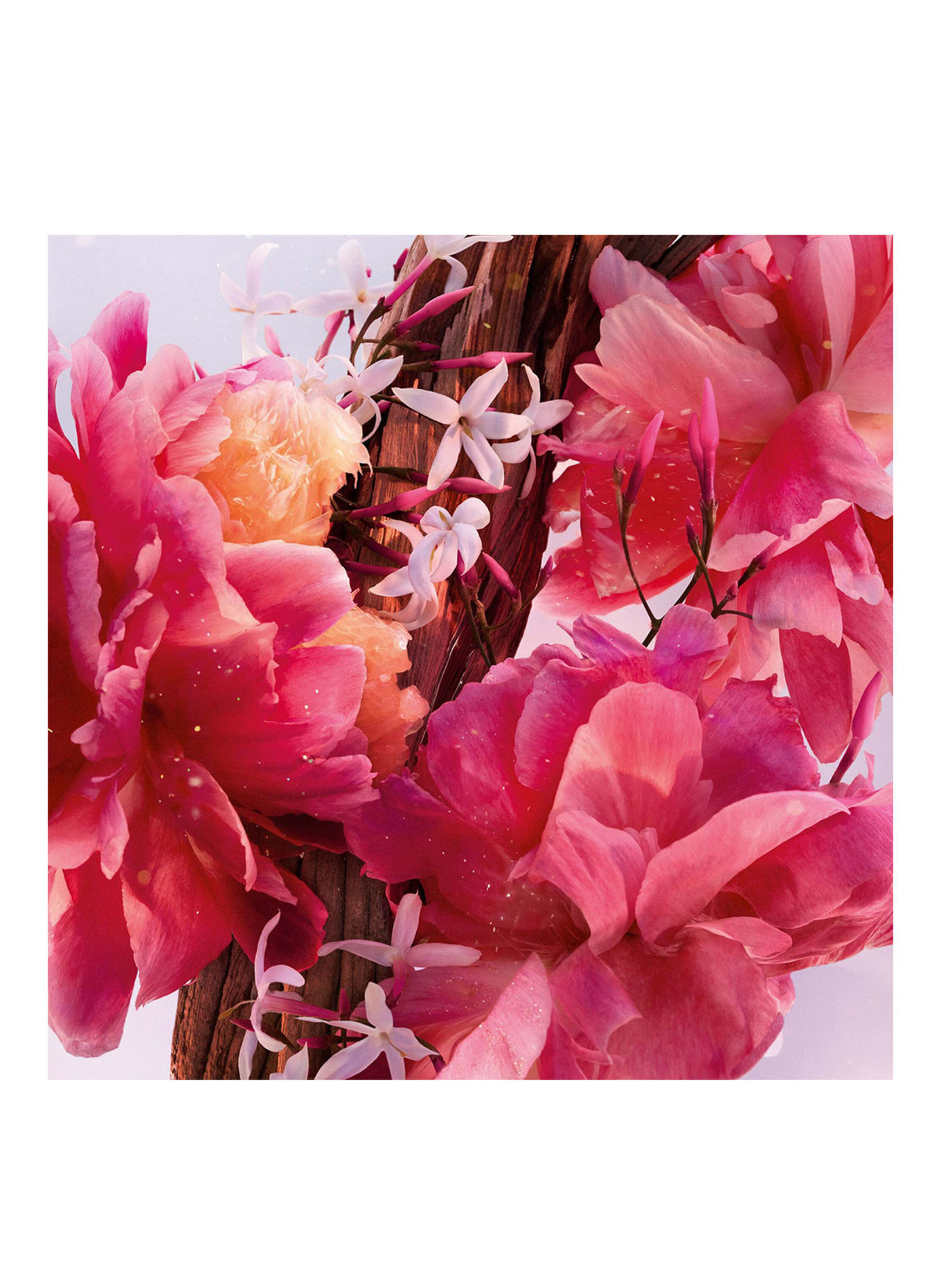 DIOR MISS DIOR PARFUM ROLLER-PEARL