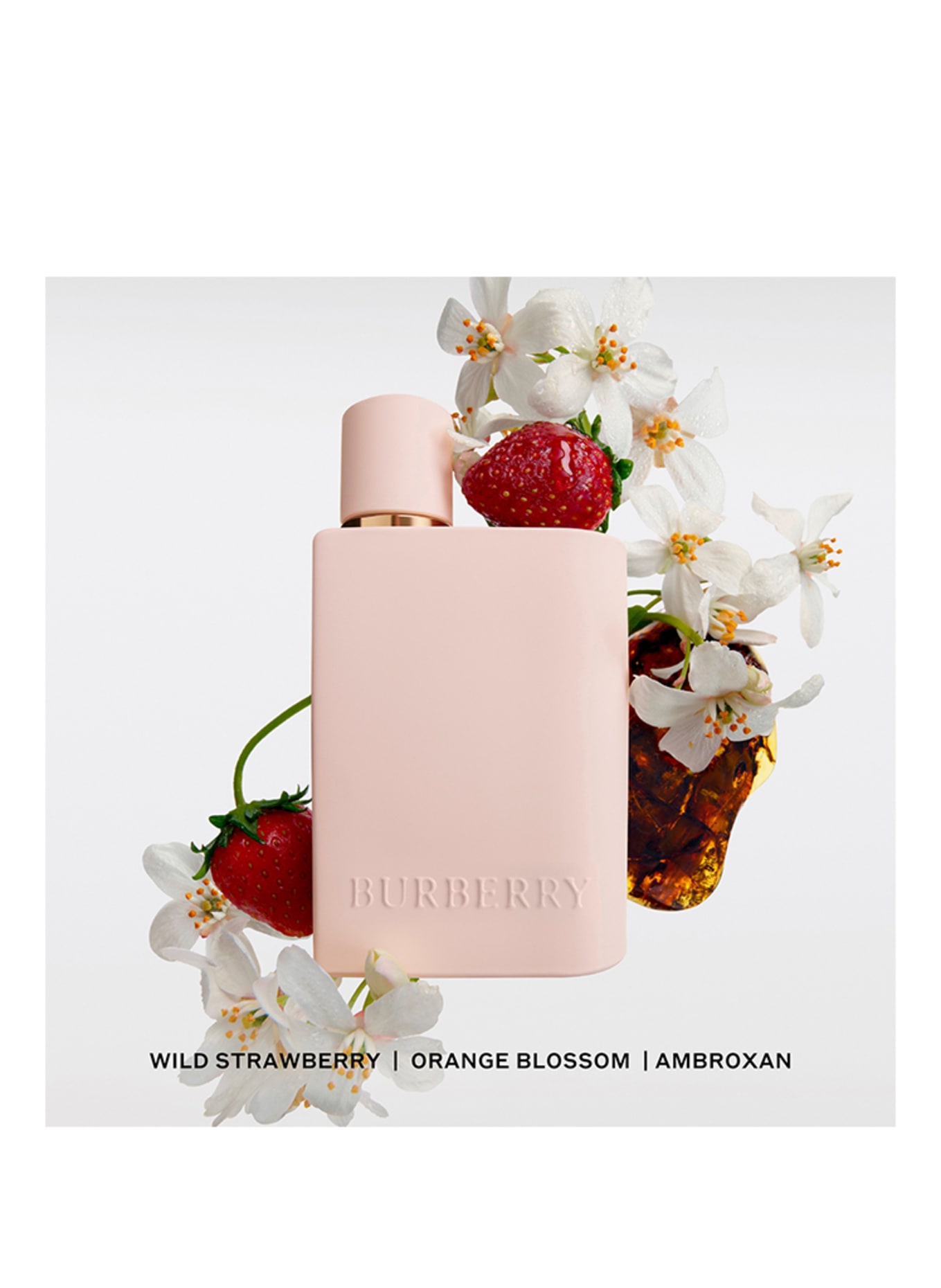 BURBERRY BEAUTY HER