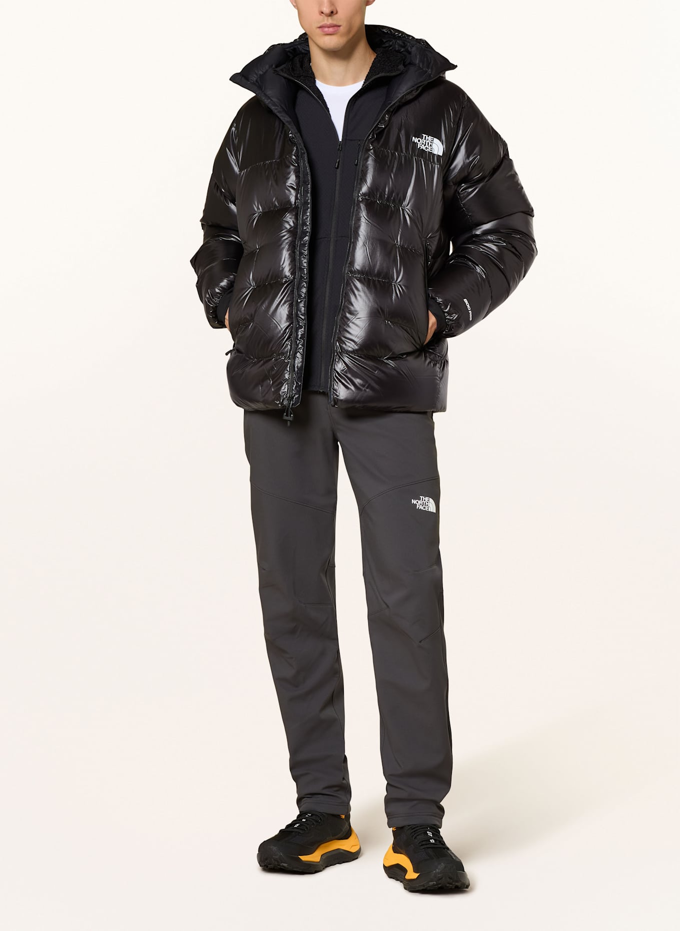 THE NORTH FACE Daunenjacke SUMMIT PUMORI: SCHWARZ