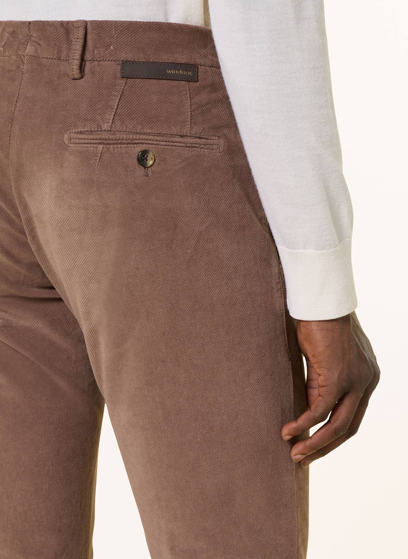 windsor. Samtchino CINO Slim Fit: BRAUN