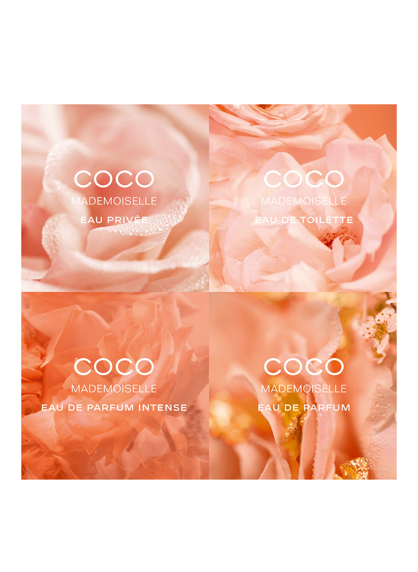 CHANEL COCO MADEMOISELLE