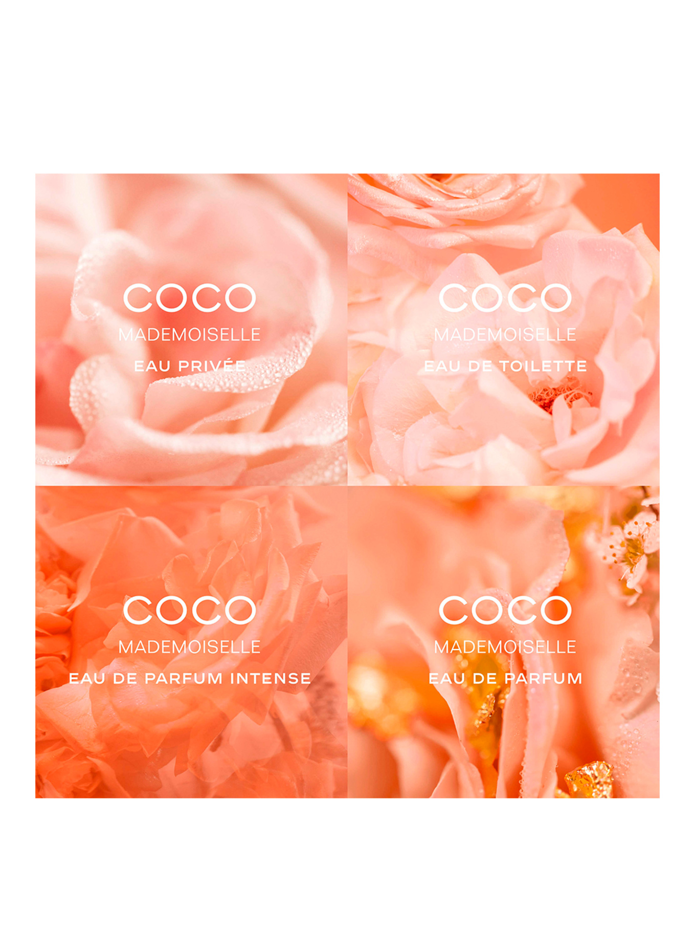 CHANEL COCO MADEMOISELLE