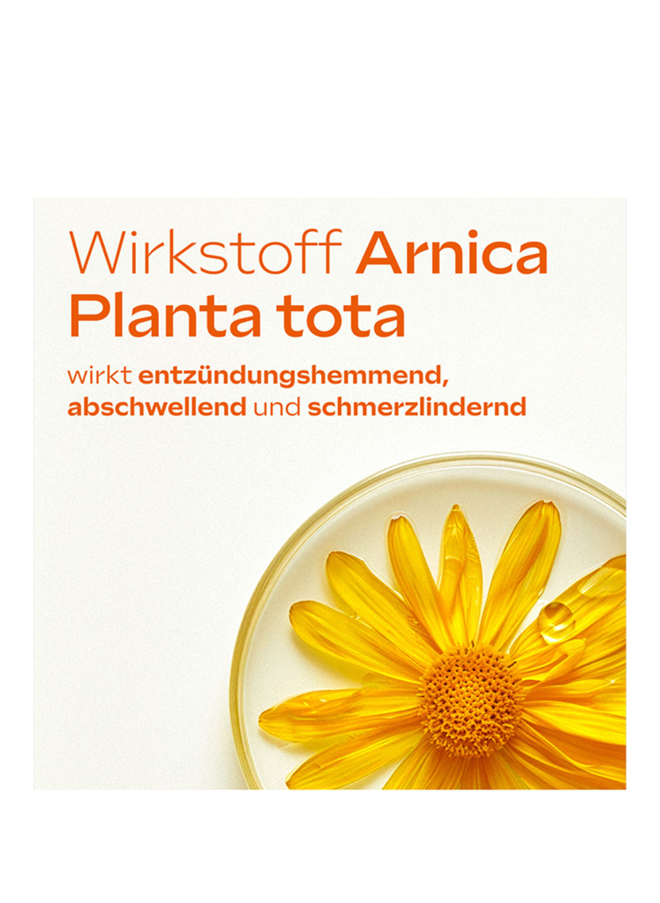 WELEDA ARNICA-ZALF 10%